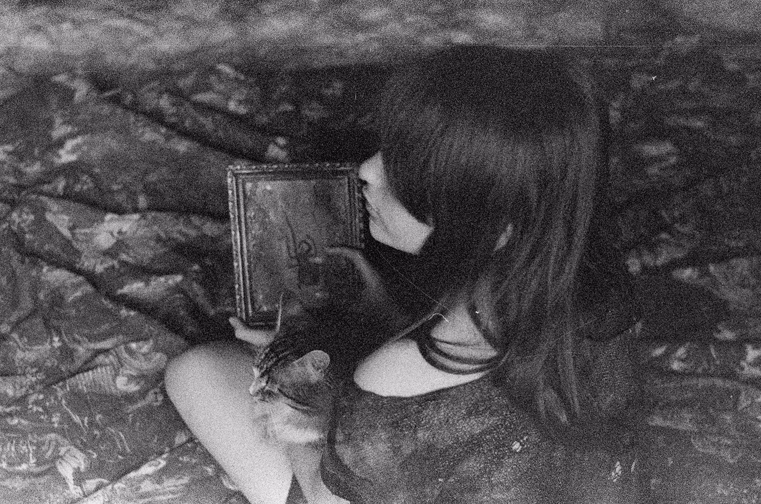 daydream