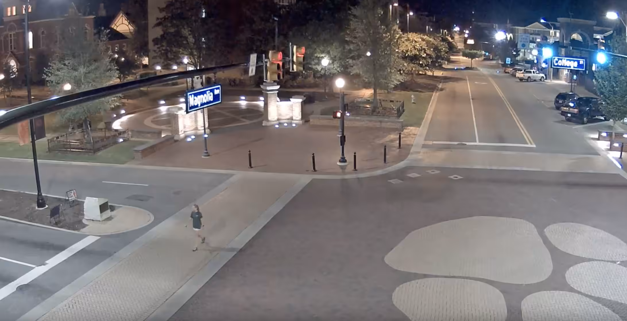 Jaywalker 09 - Dries Depoorter
