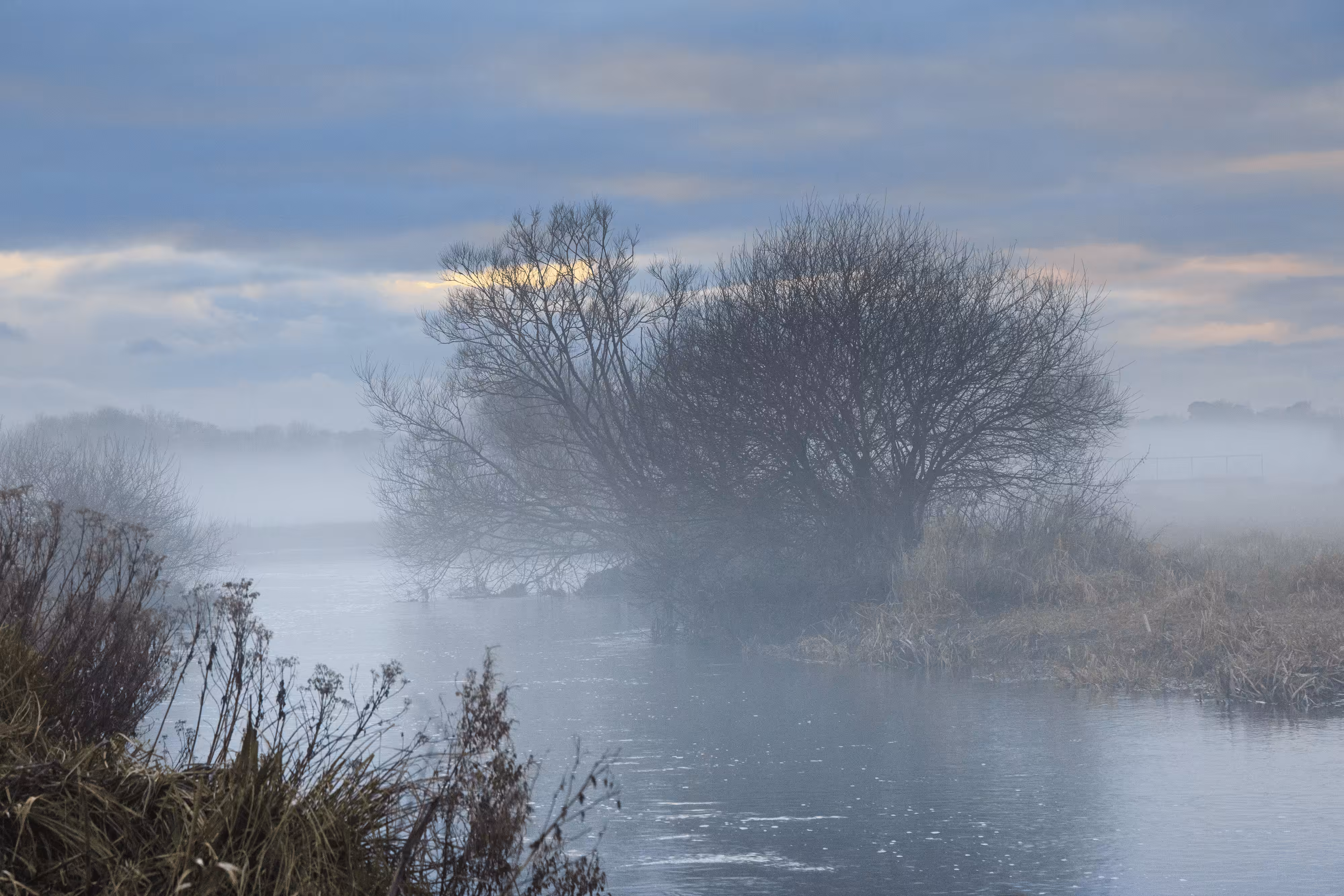 Mist on the River Frome
