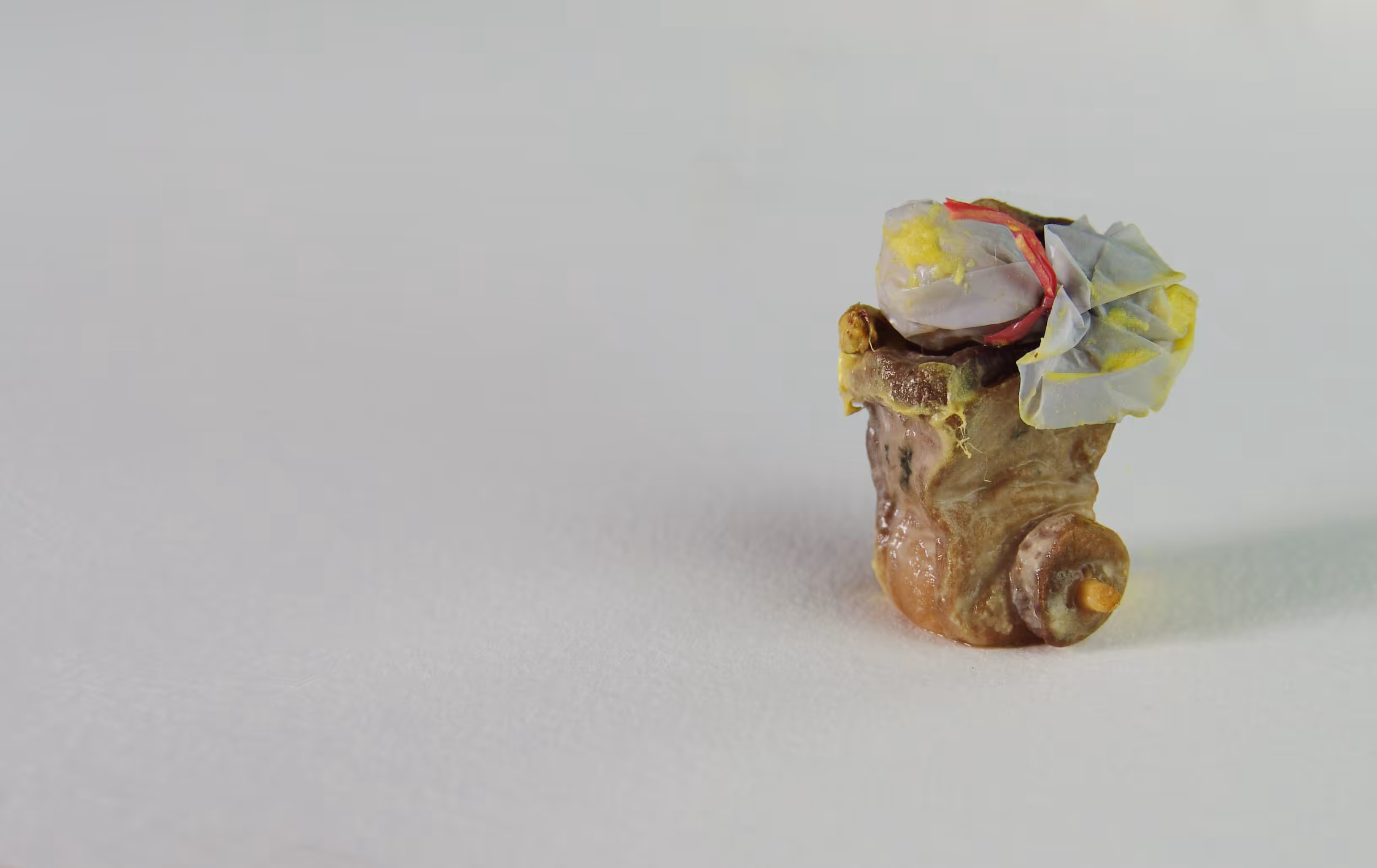Trash is Copyright, Banana is Art and [rotten-step3] Potato is Meh!