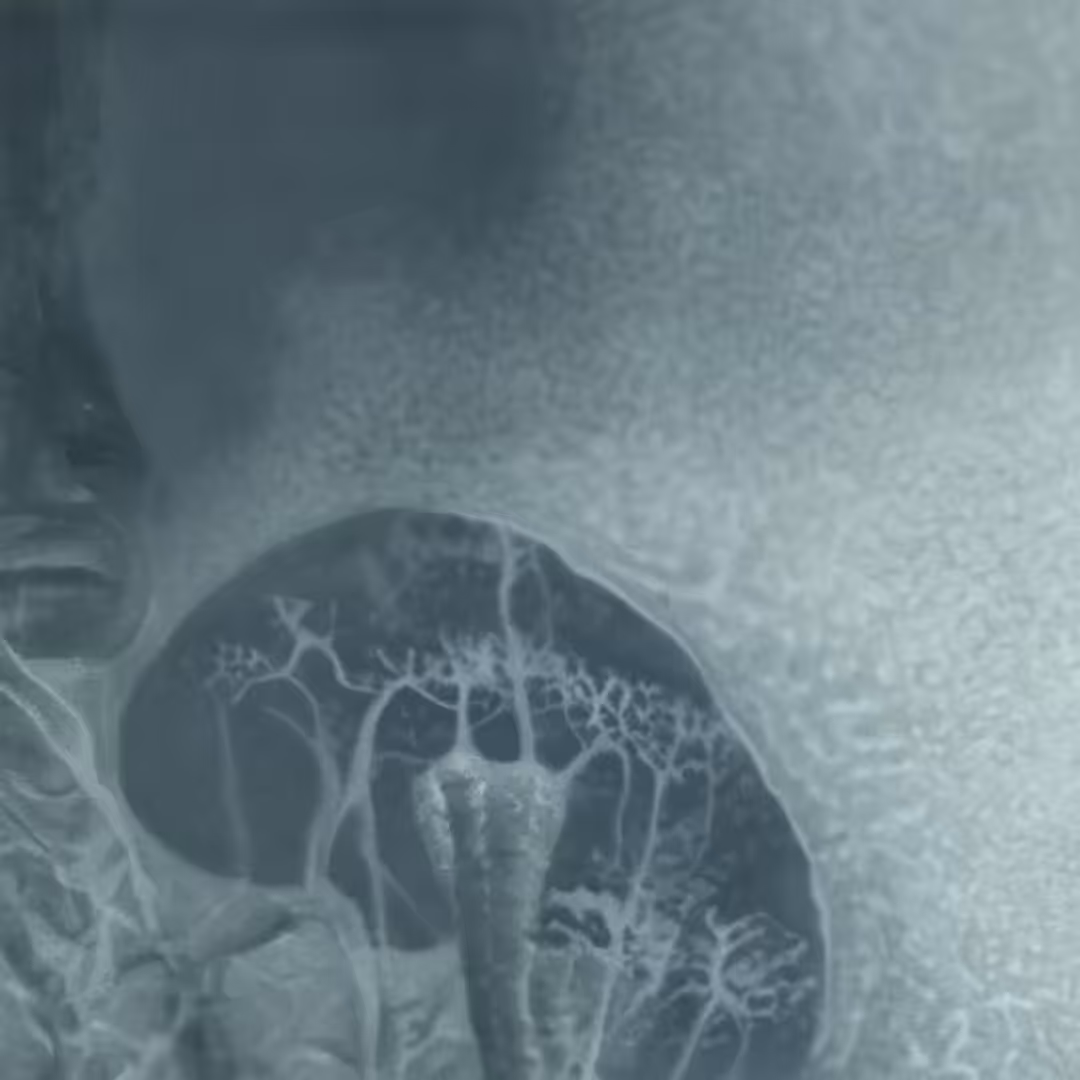 Domingo Pablo - Portal Meditation 4 “Blur of possibilities”