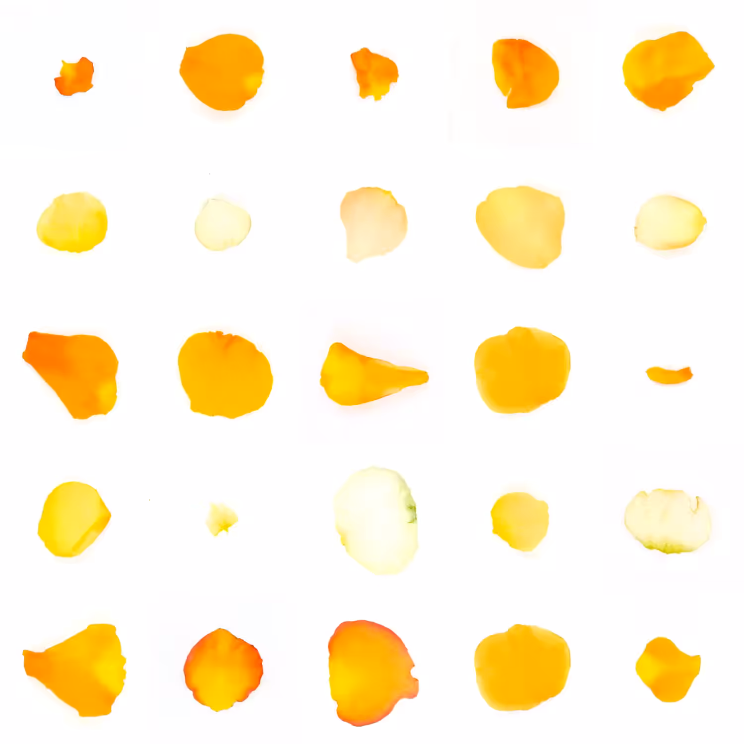 Infinite Petals 5x5#20753