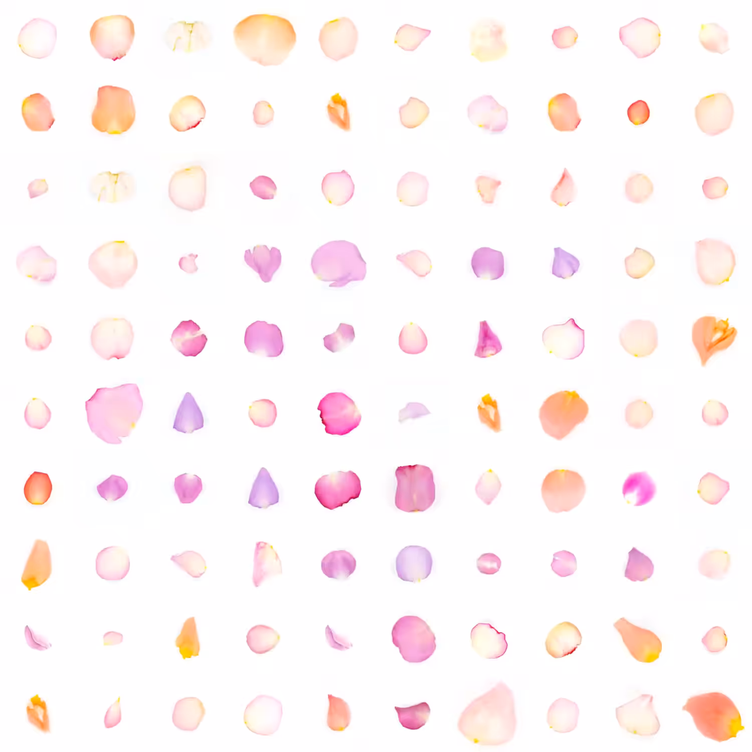 Infinite Petals 10x10#10121