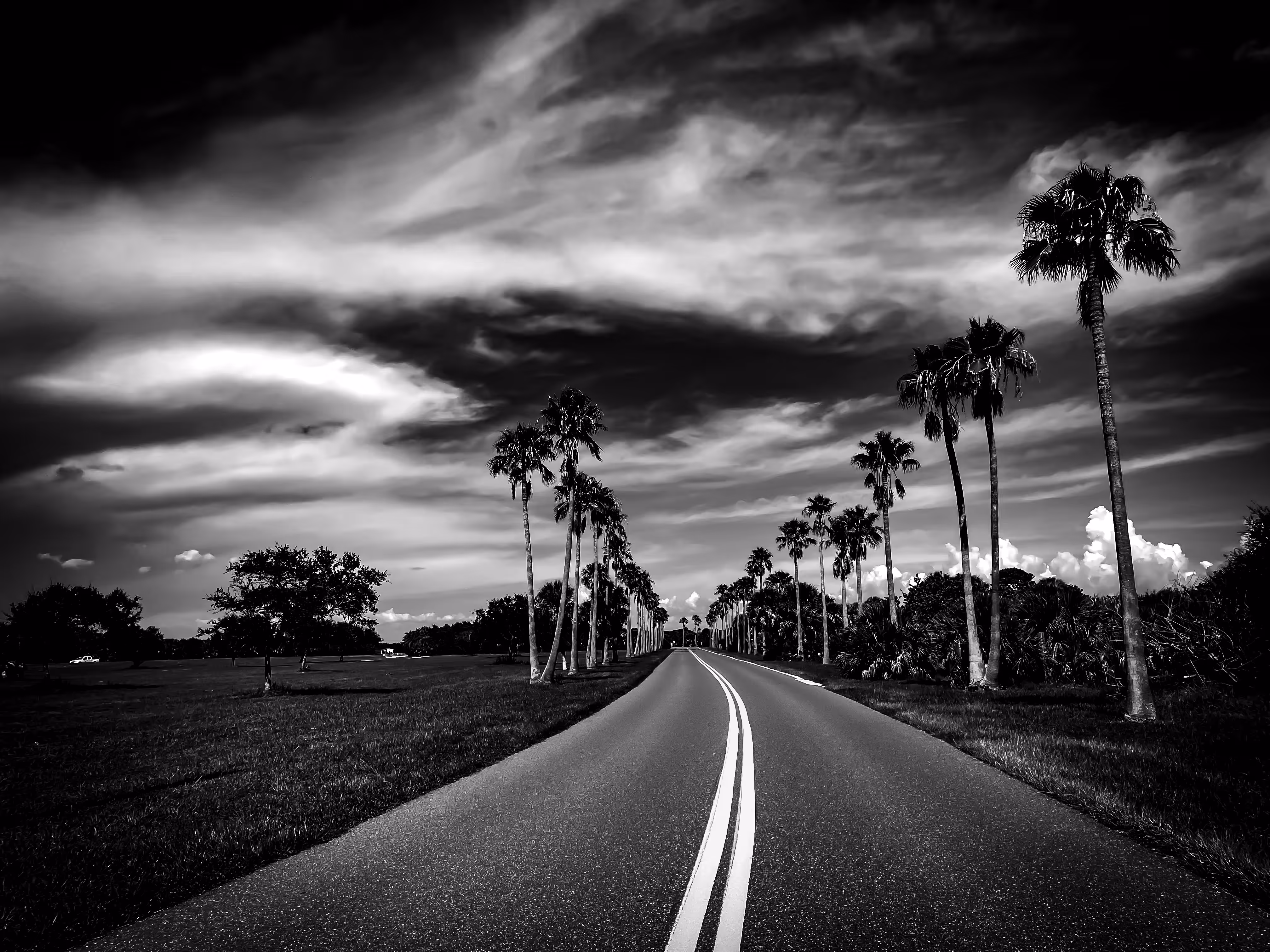 Tranquility Lane