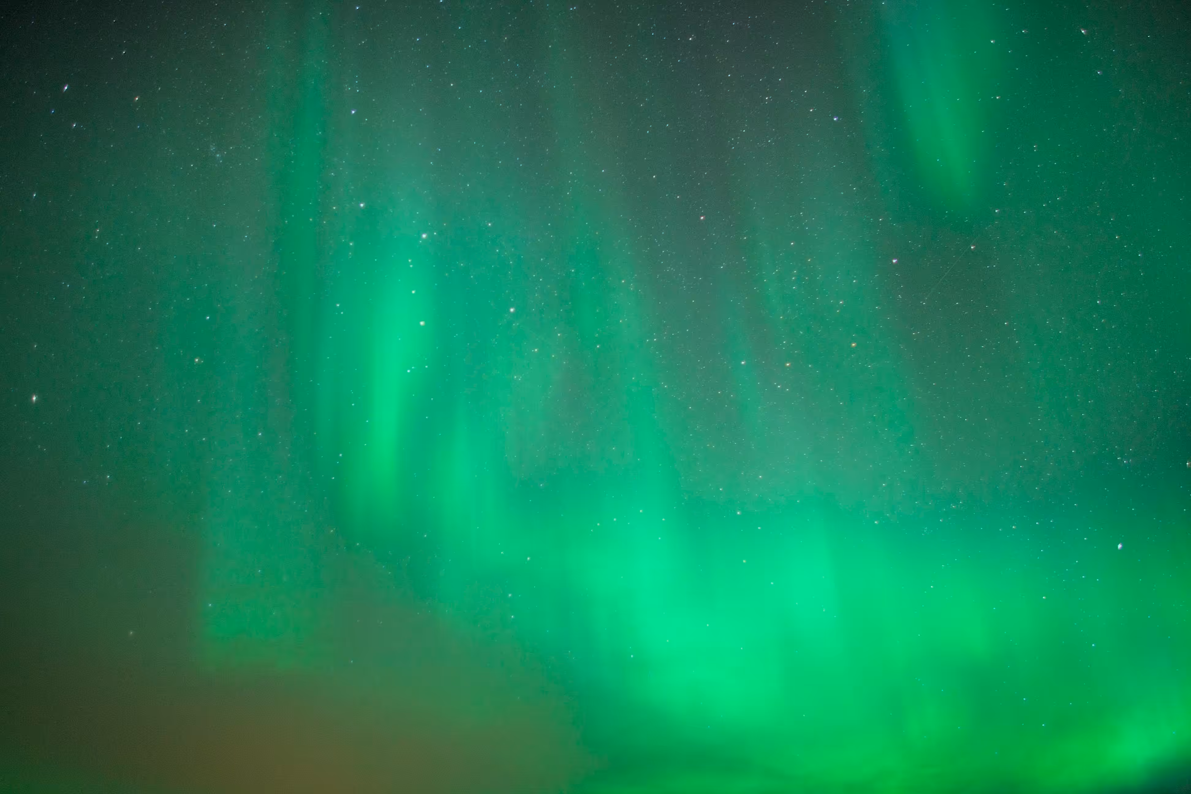Abisko 4