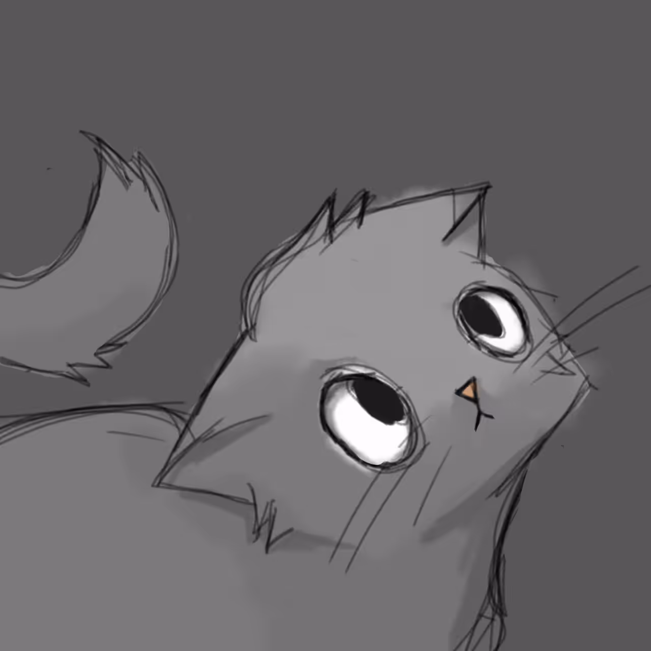 GREY CAT: Focus