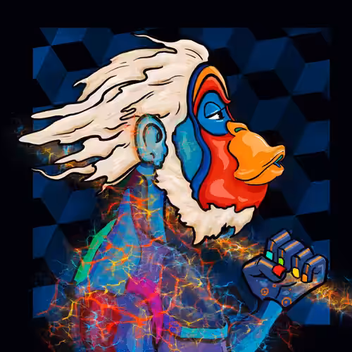 Monkey Mask # 06 ( Rare )