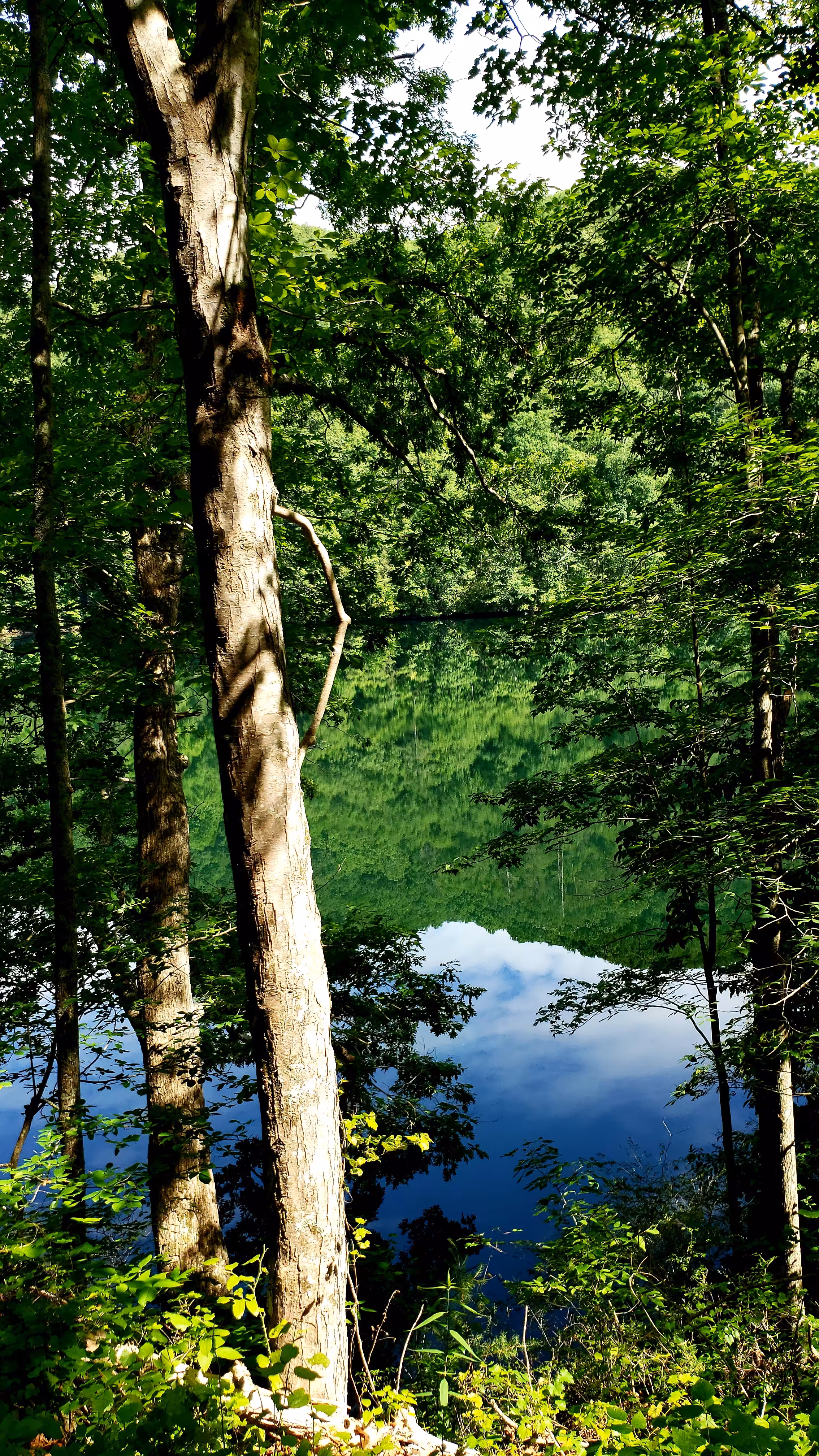Natural Beauty