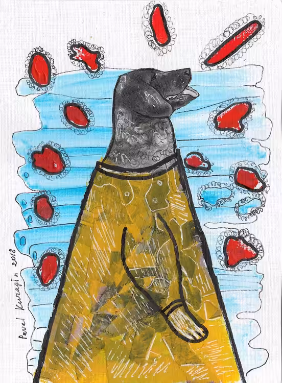 Dog hallucination