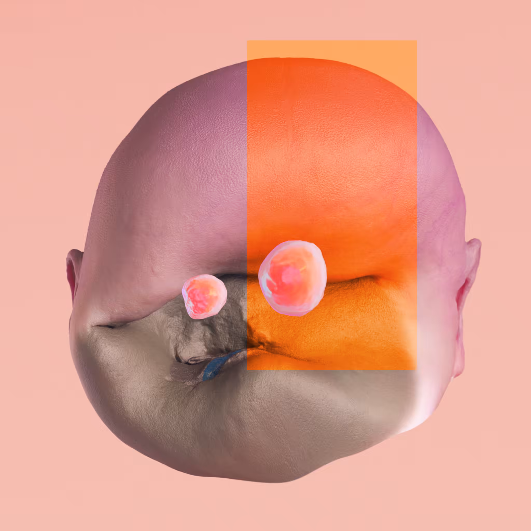DEGEN #081