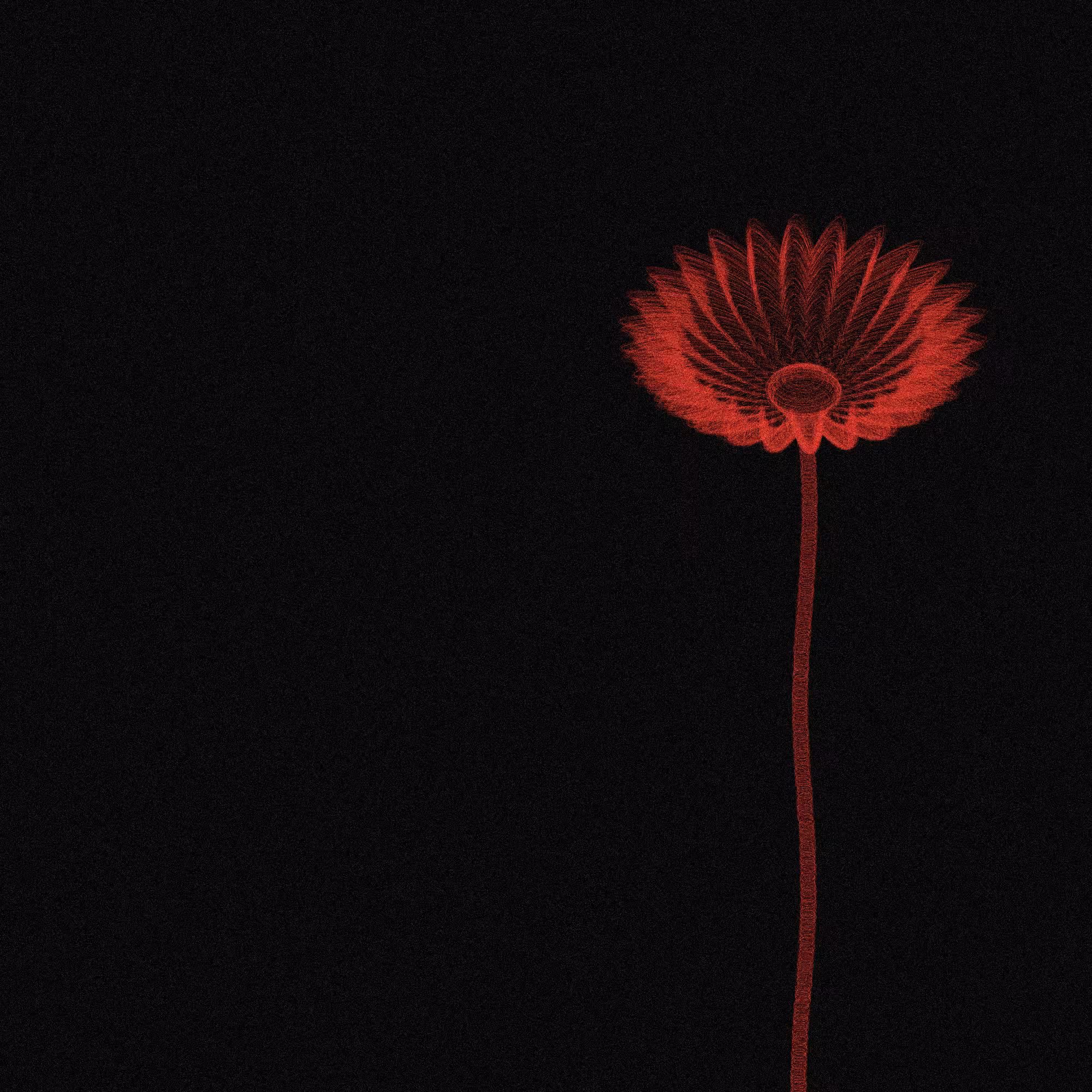 Code Flowers #92