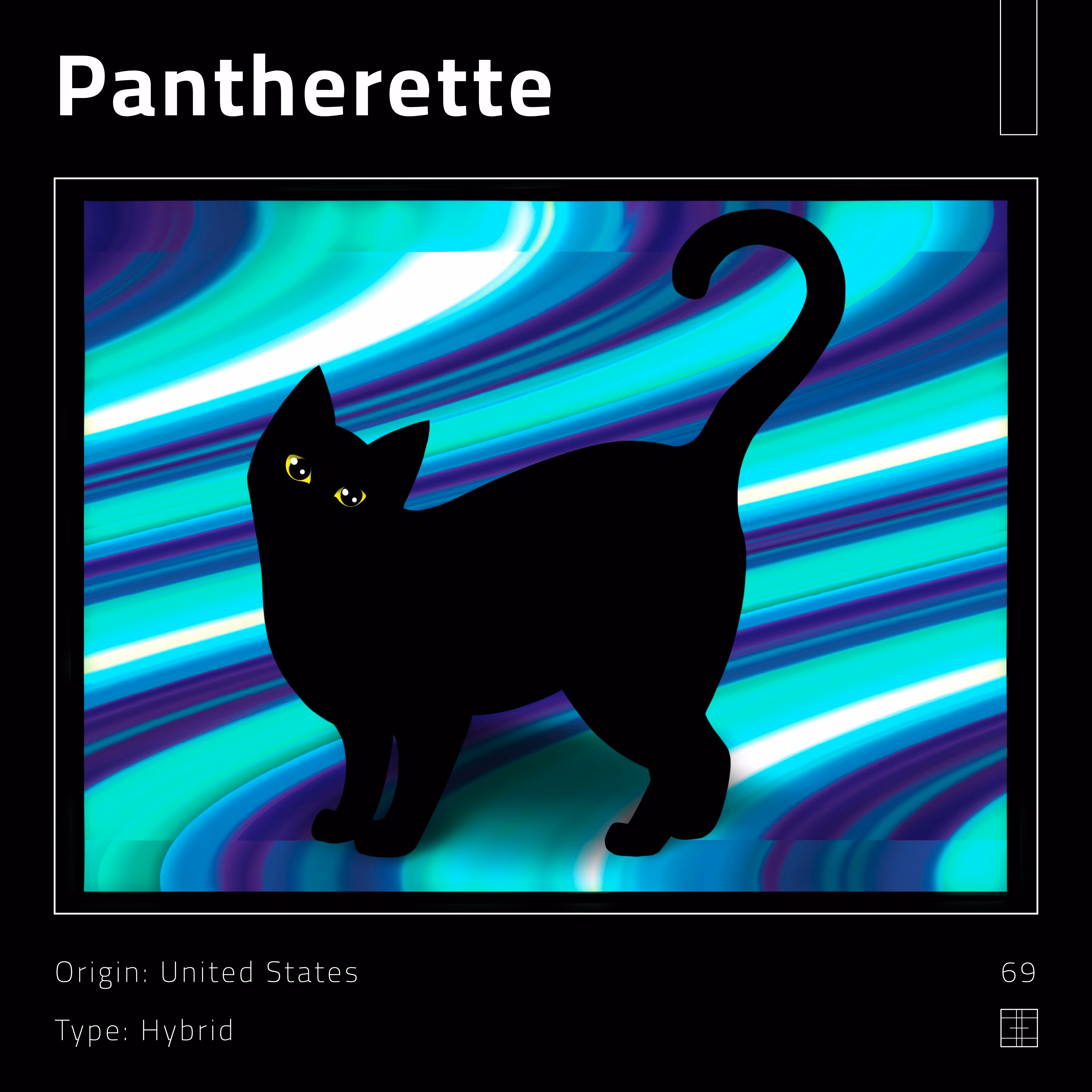 69 – Pantherette