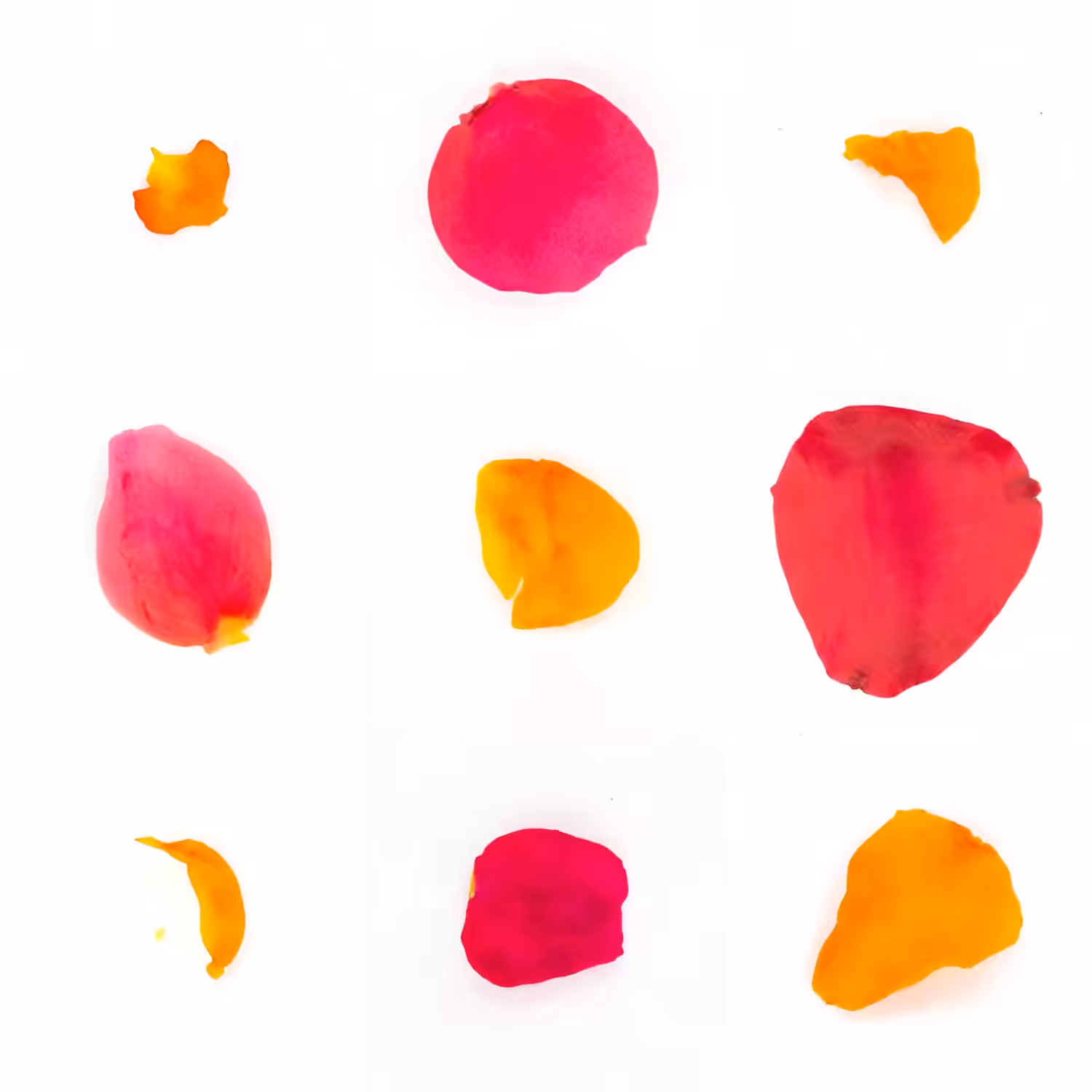 Infinite Petals 3x3#2399