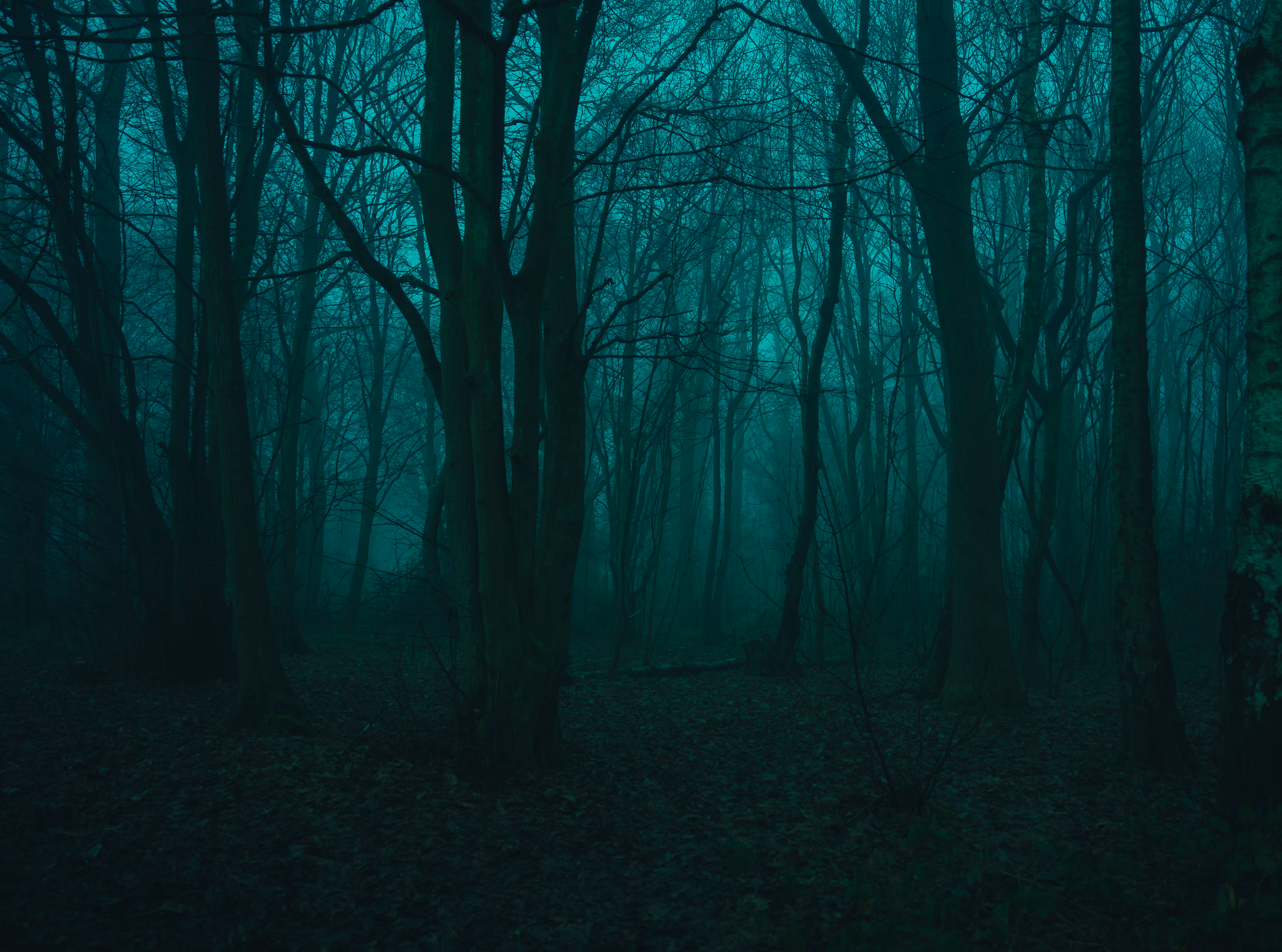 Silent whispers