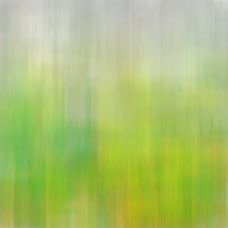 Hatch Field 001 #86