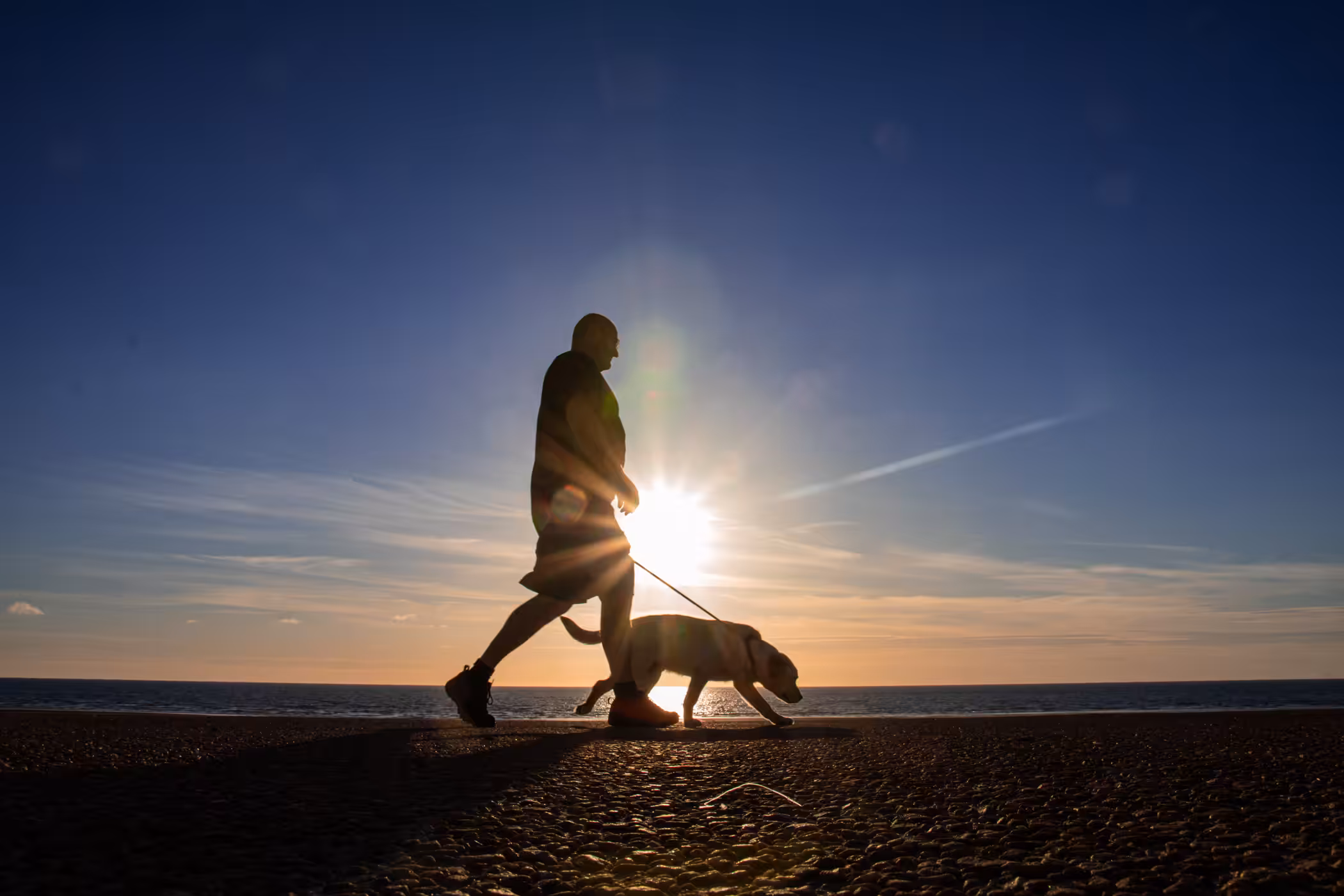 Mans Best Friend