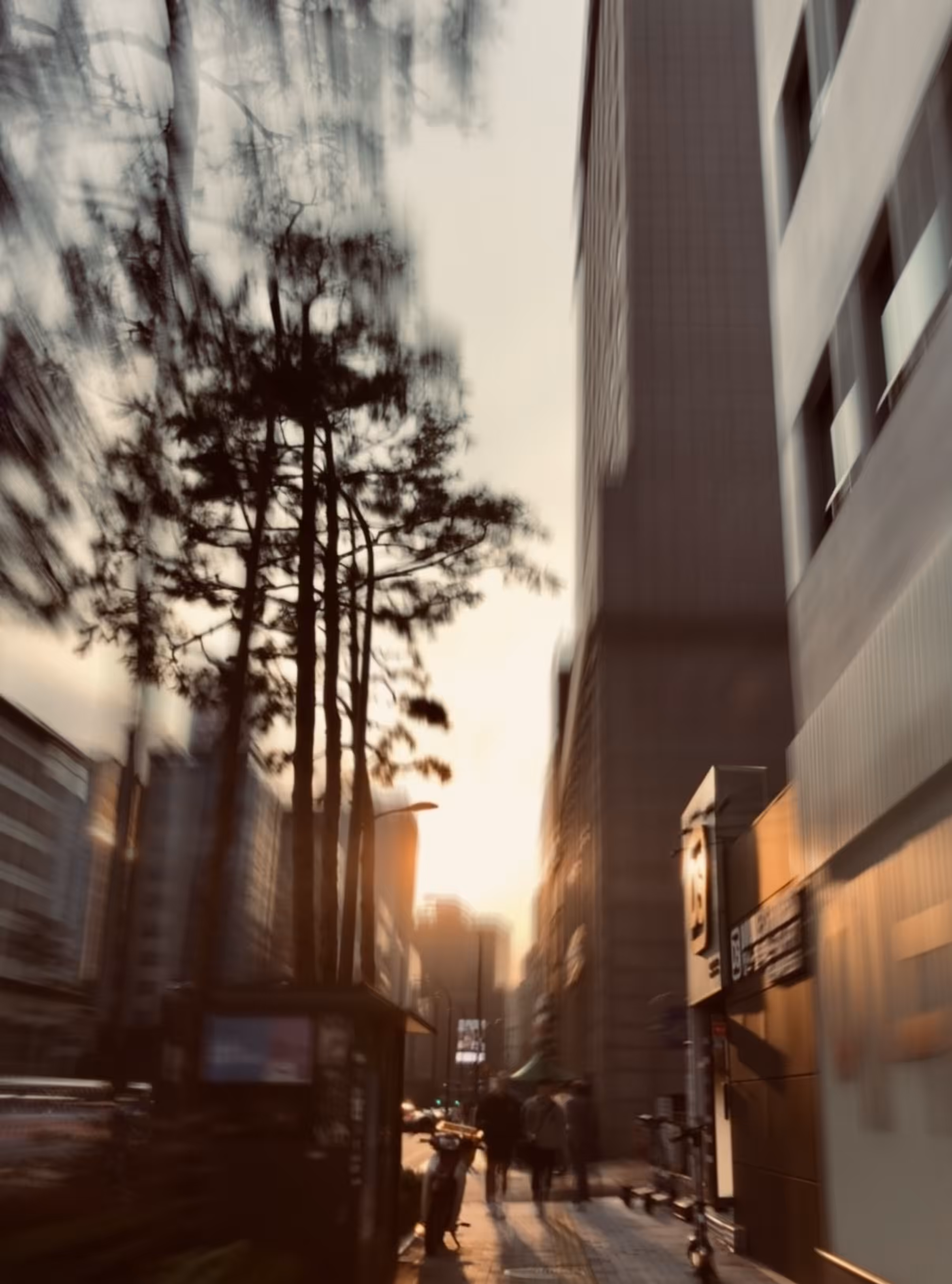 Everyday Hustle