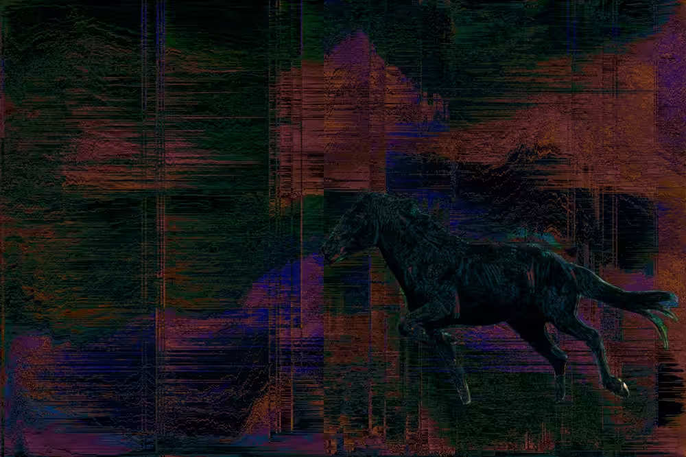 ON DARK HORSES