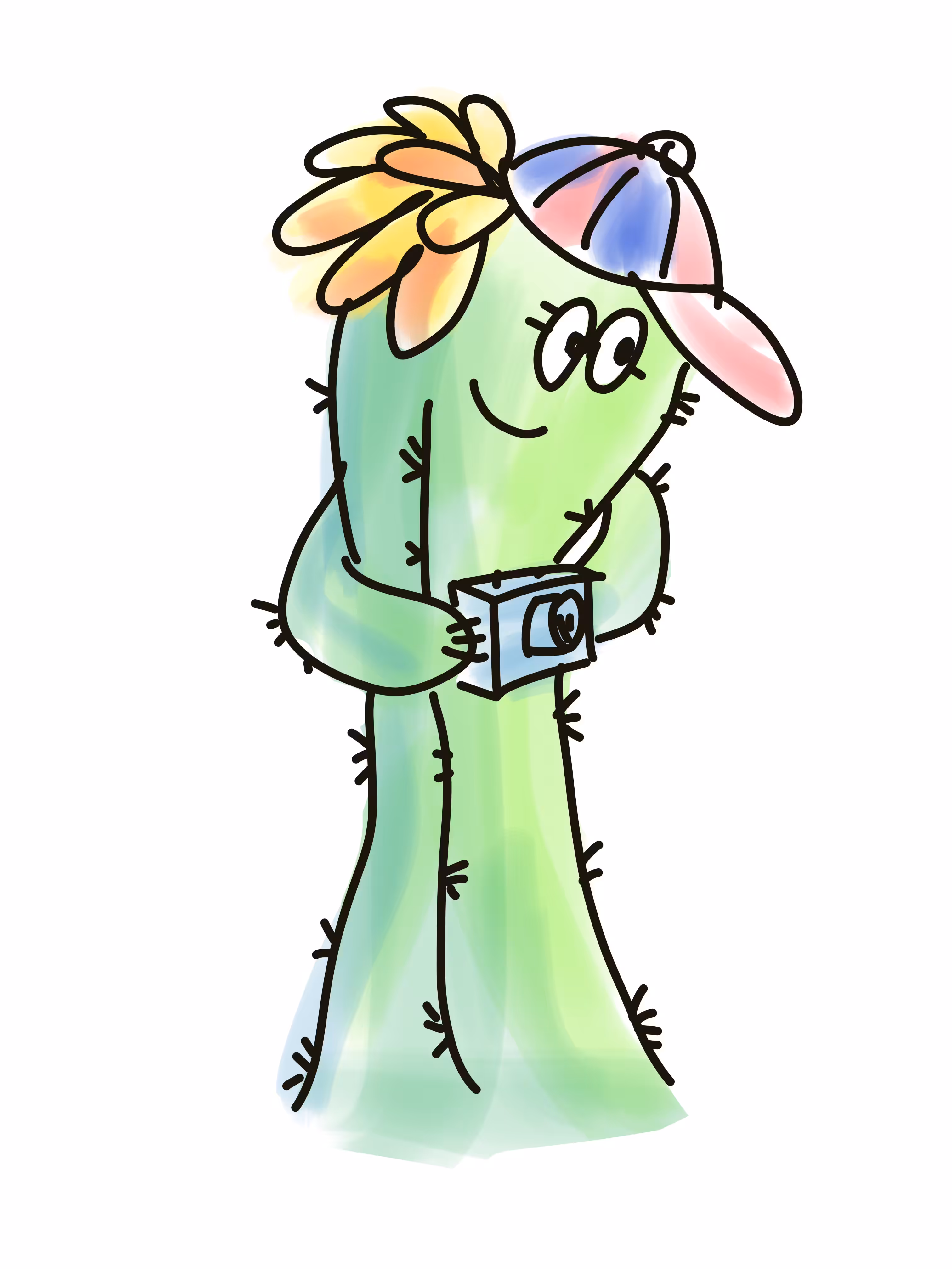 Cactus photo master
