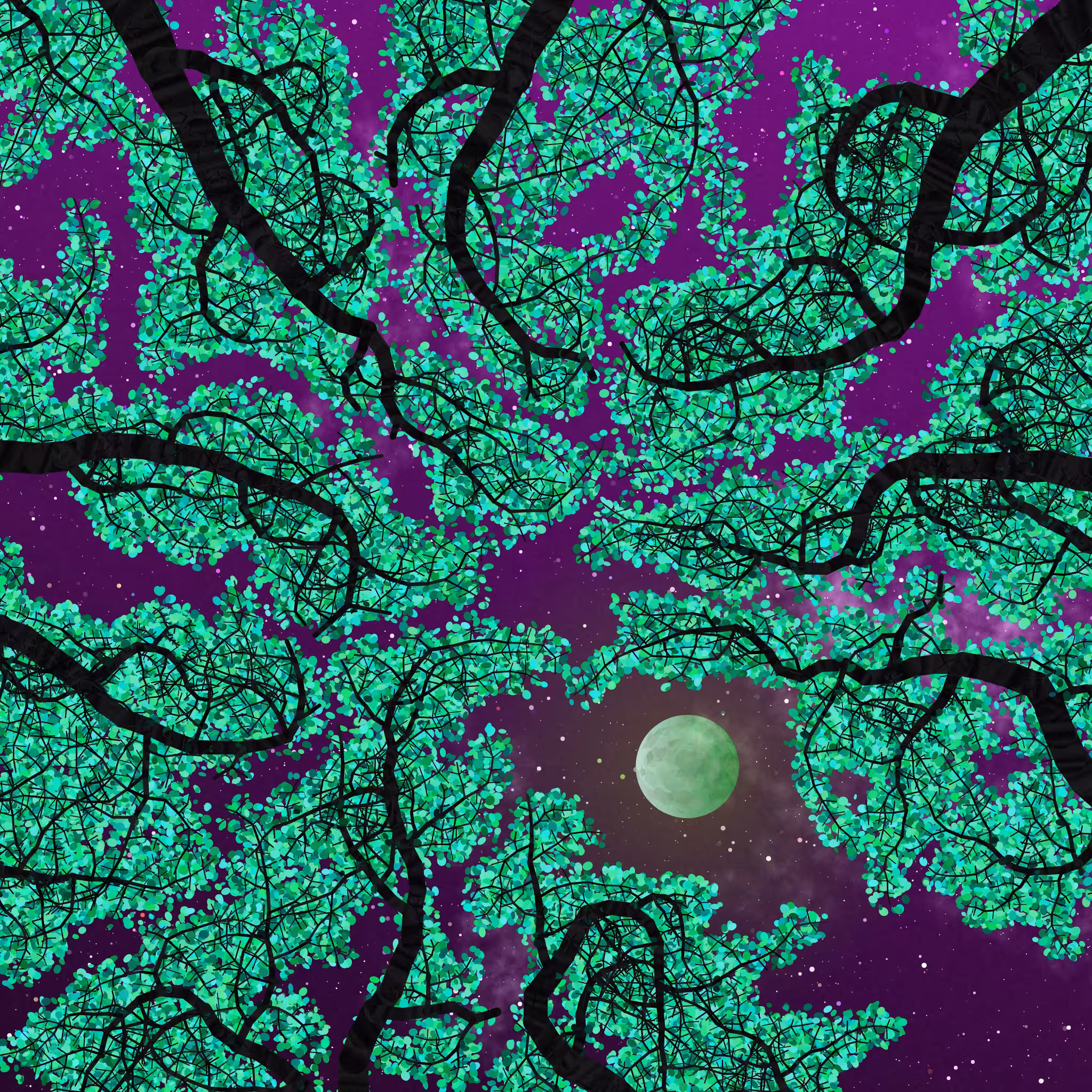 Tree Skyness #103