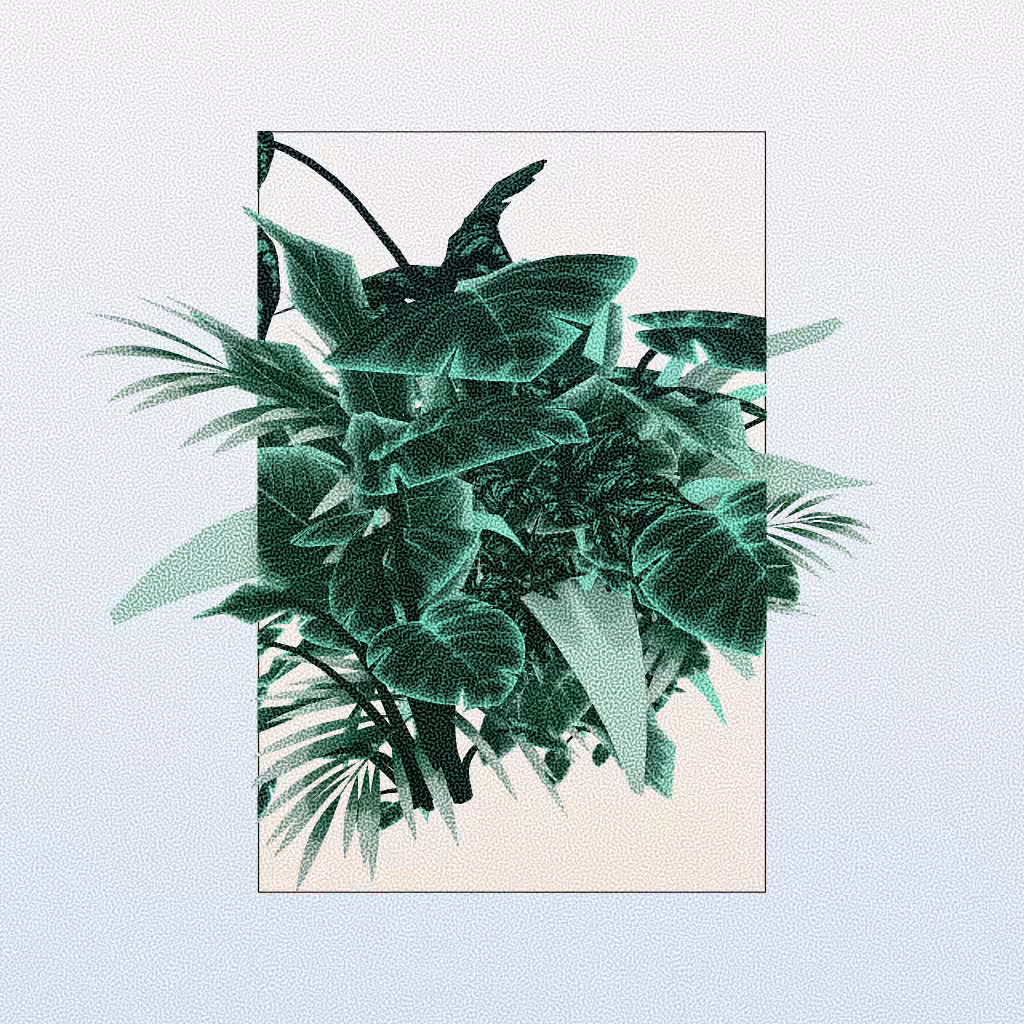 Botany #254