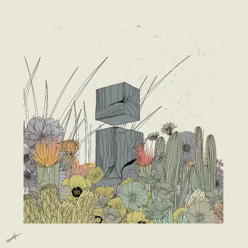 Garden of Lines #Rocks_Blooms #32