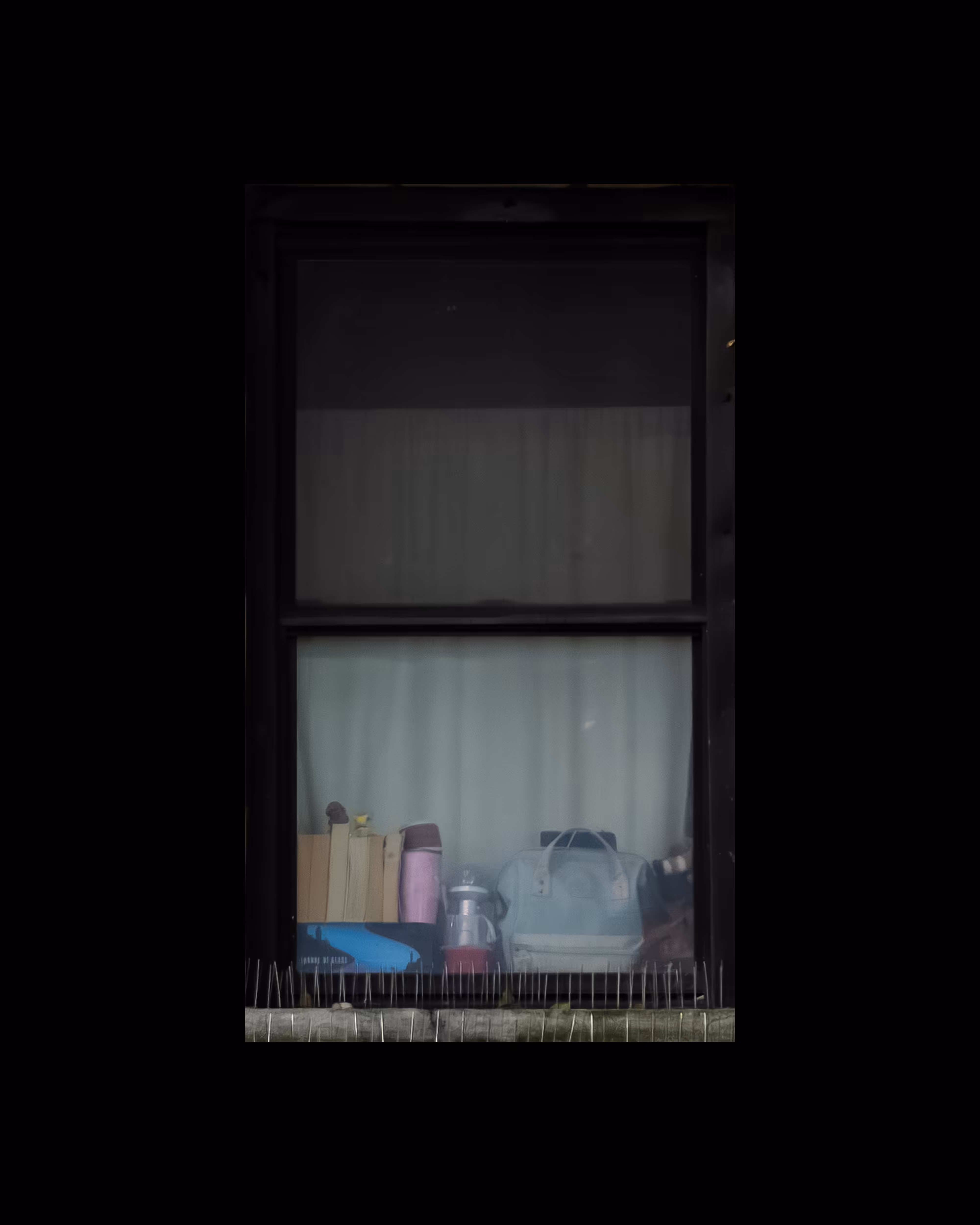 WINDOW 864