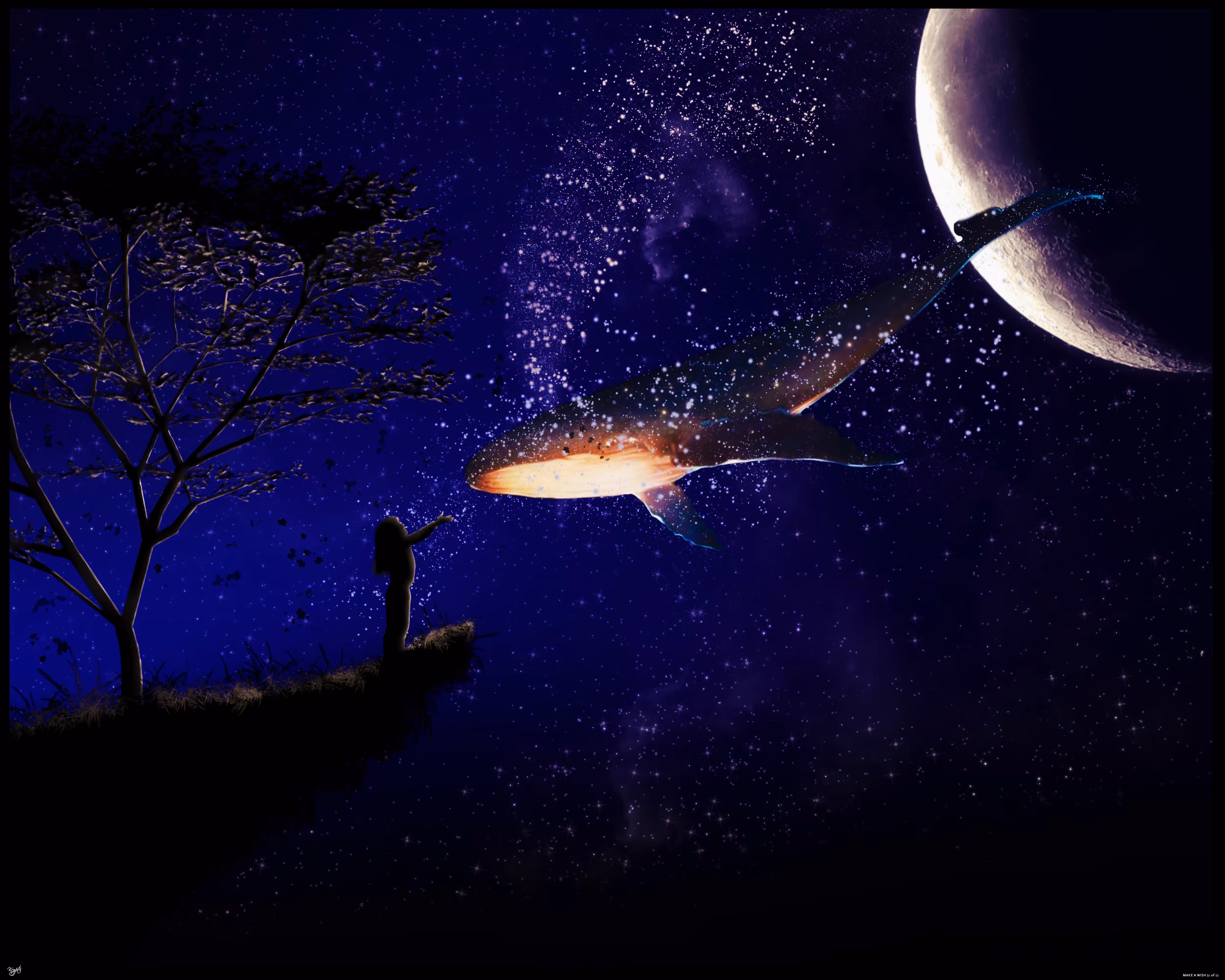 Make A Wish