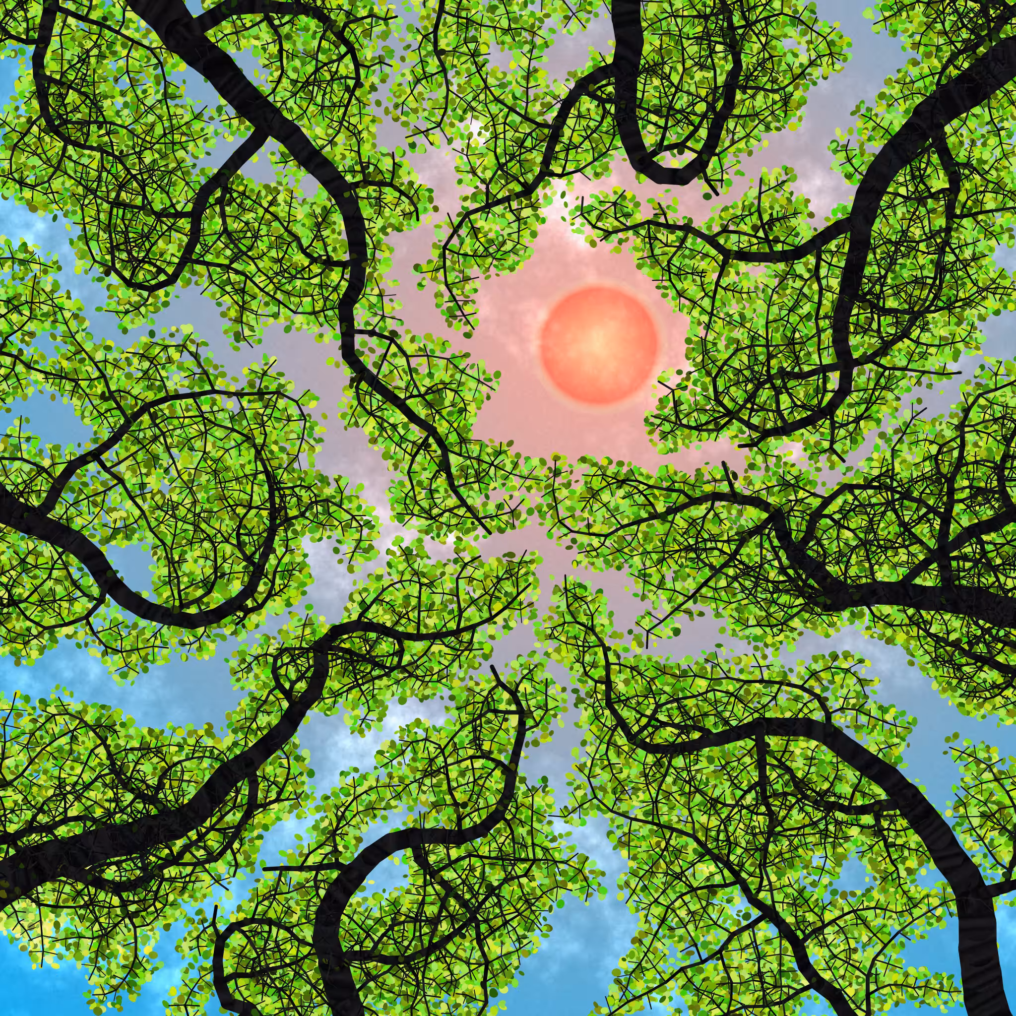 Tree Skyness #217