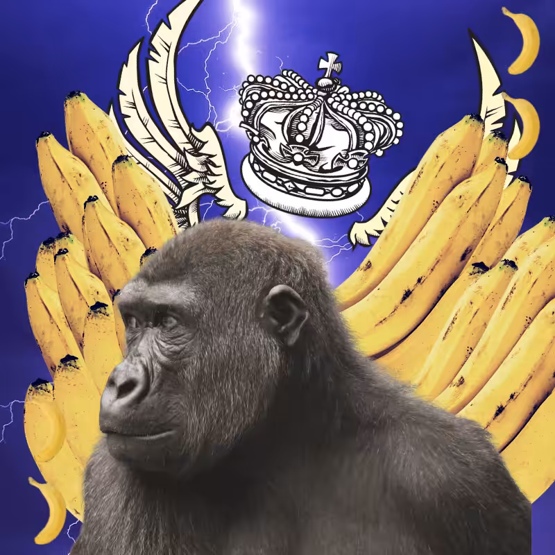 Banana gods #28