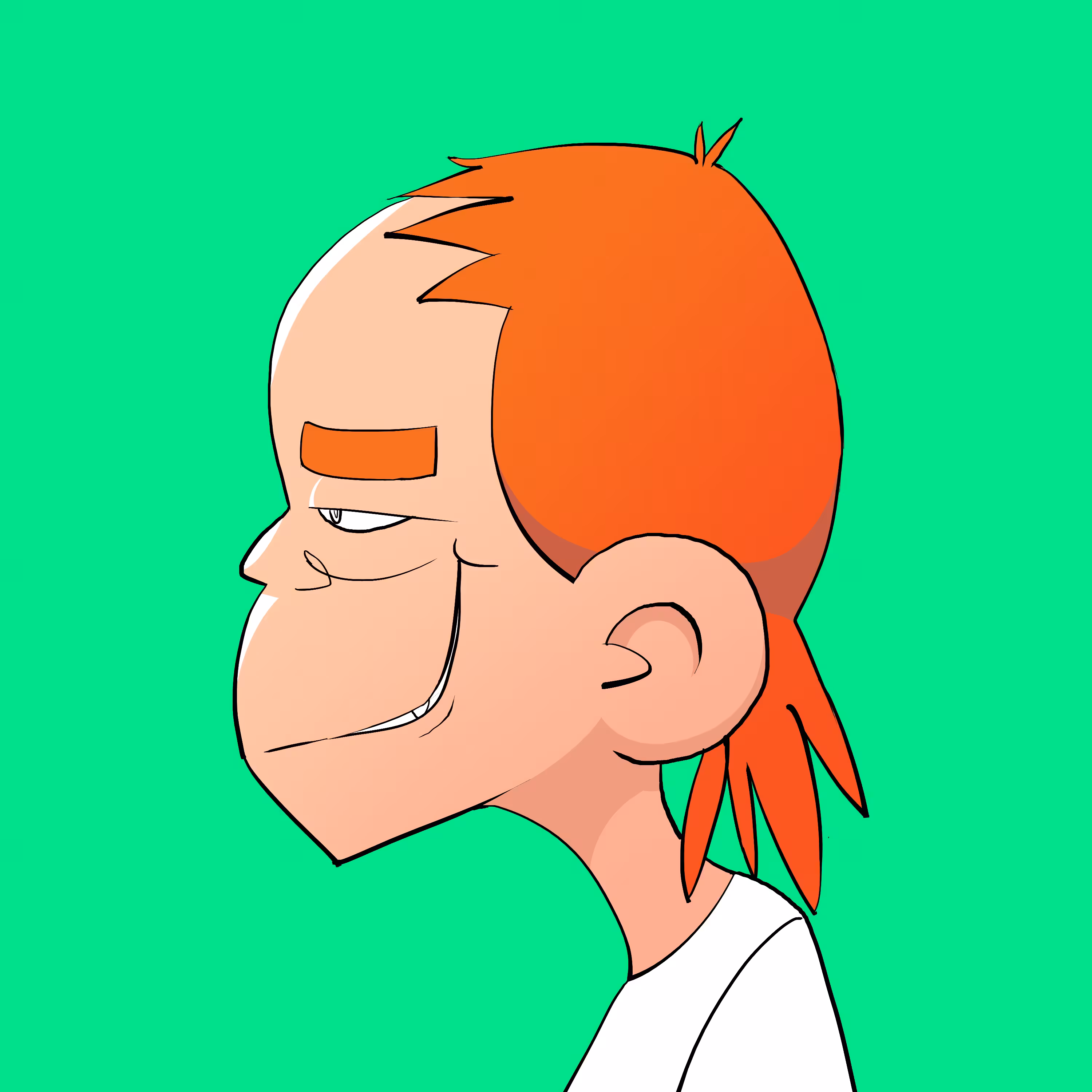Mad Mullet