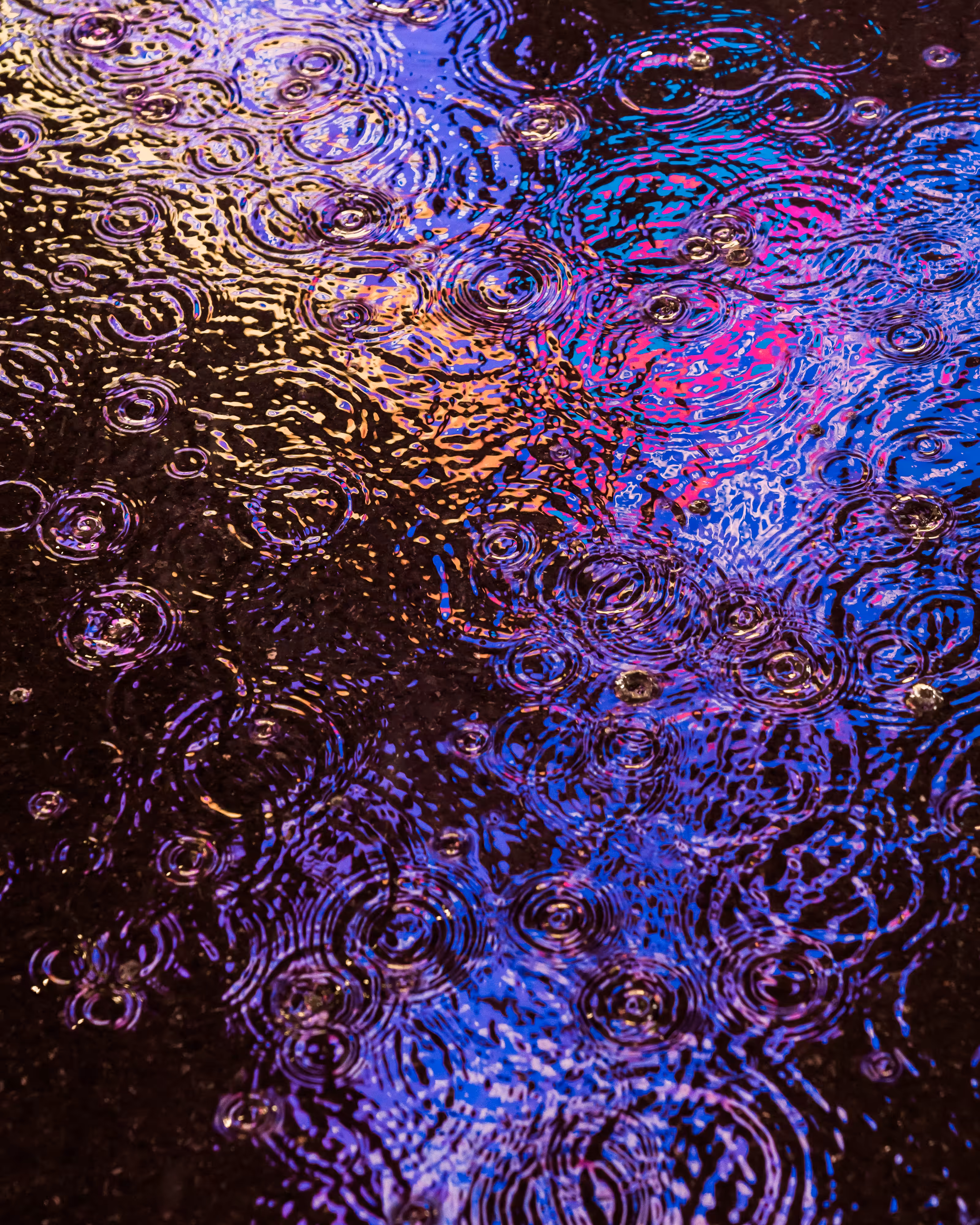 DRIP DROP: DRIP #480