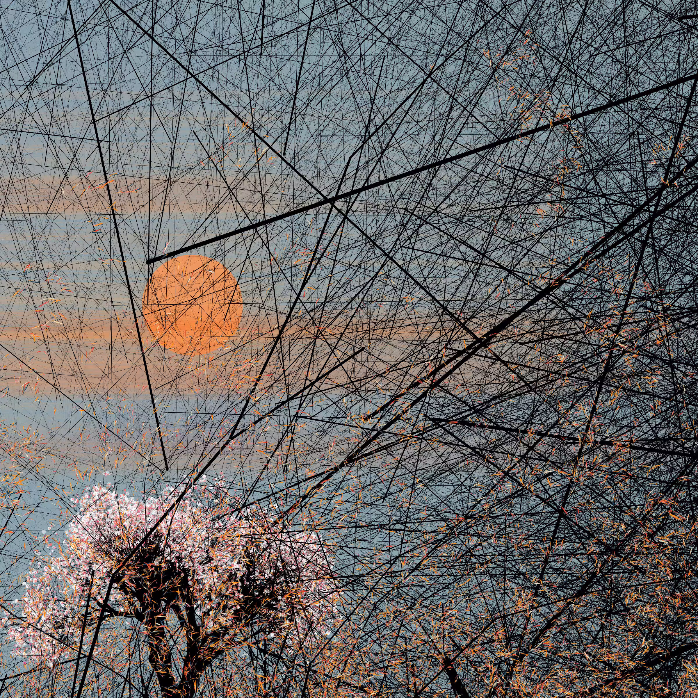 conversation with the wind #764