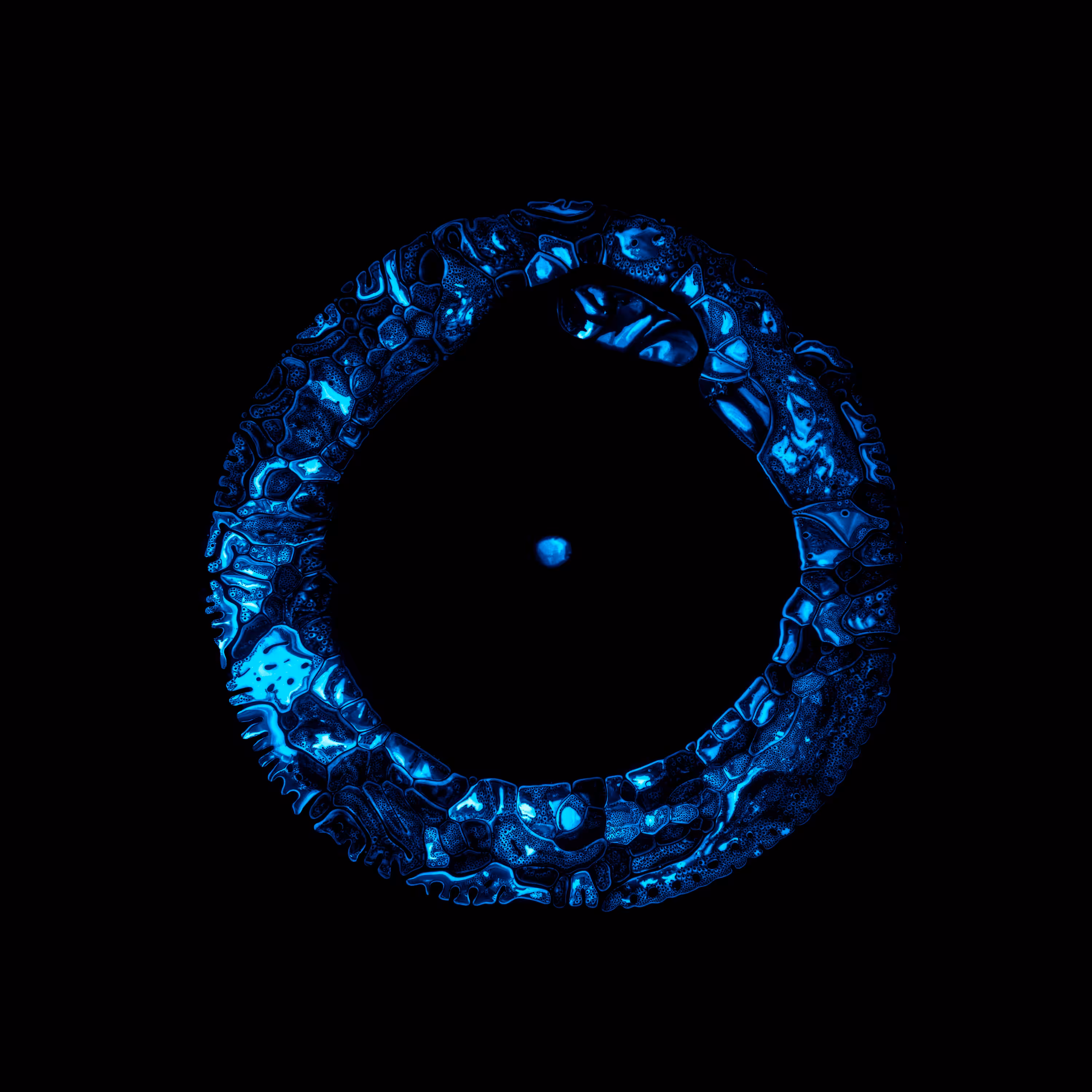 Haematopoiesis #112