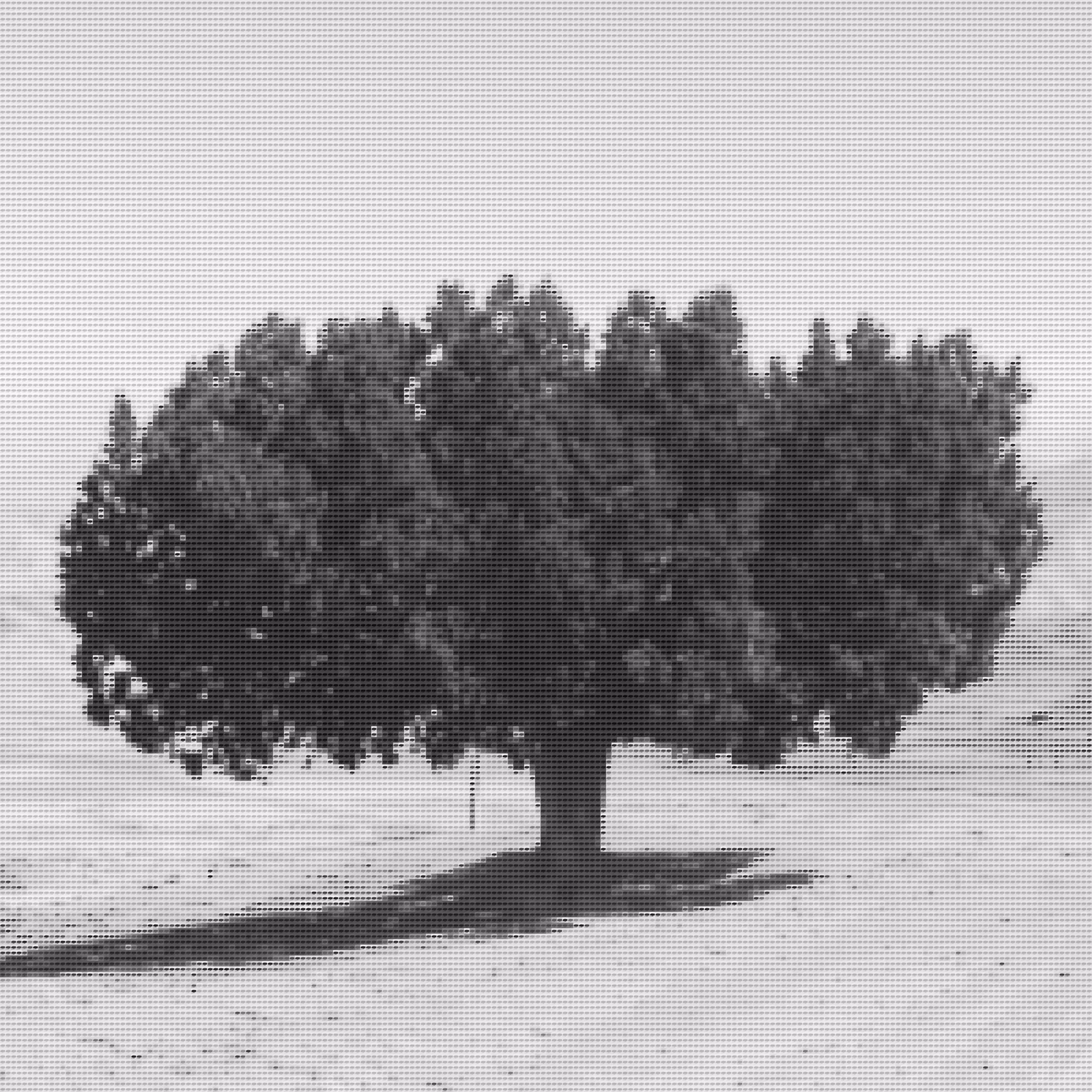 Forty Thousand and One Trees