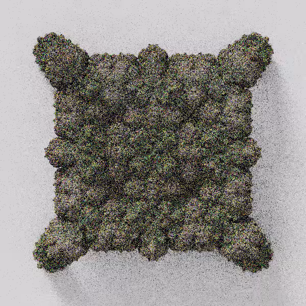 Mandaloids #70