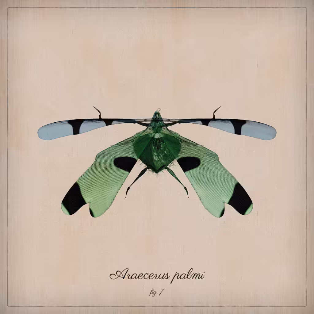 ProcGen Entomology #389