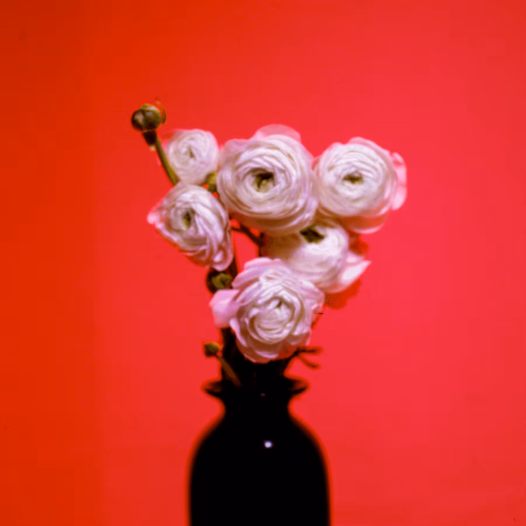 EKTACHROME RED