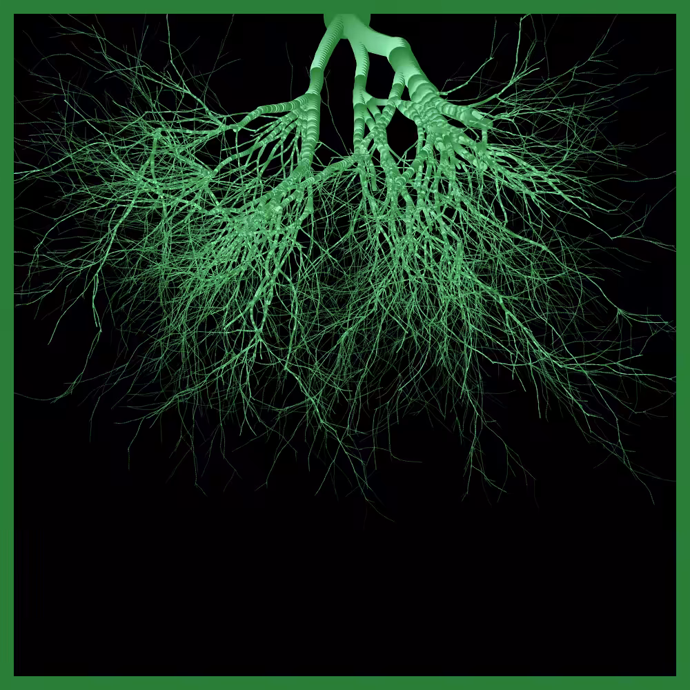 Arbres suspendus #135