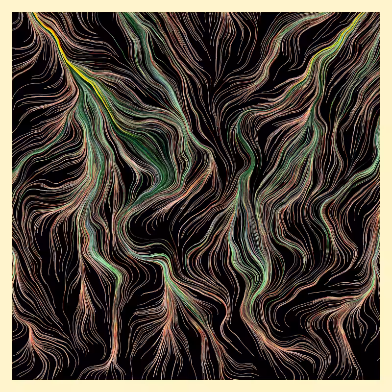 Roots #7
