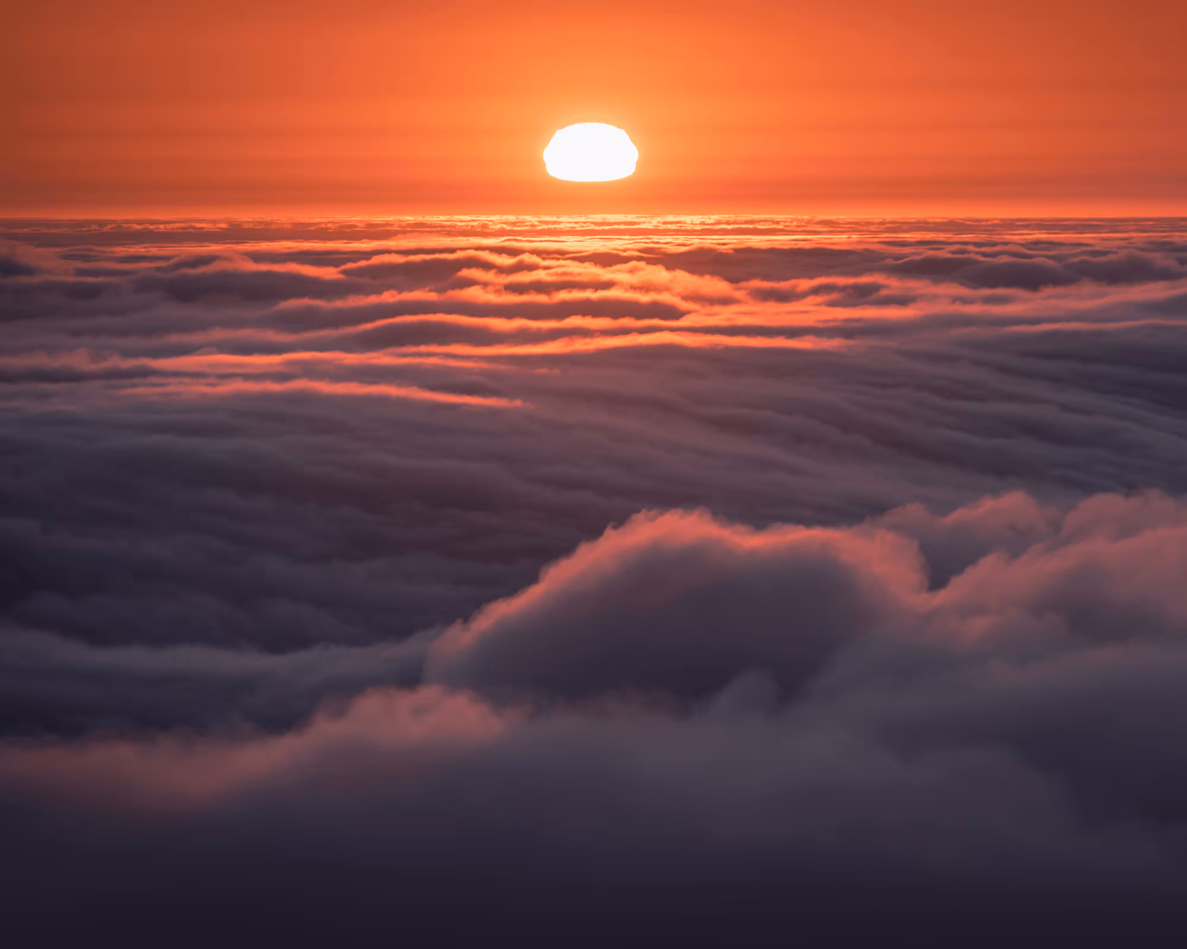 A Symphony of Fog #26