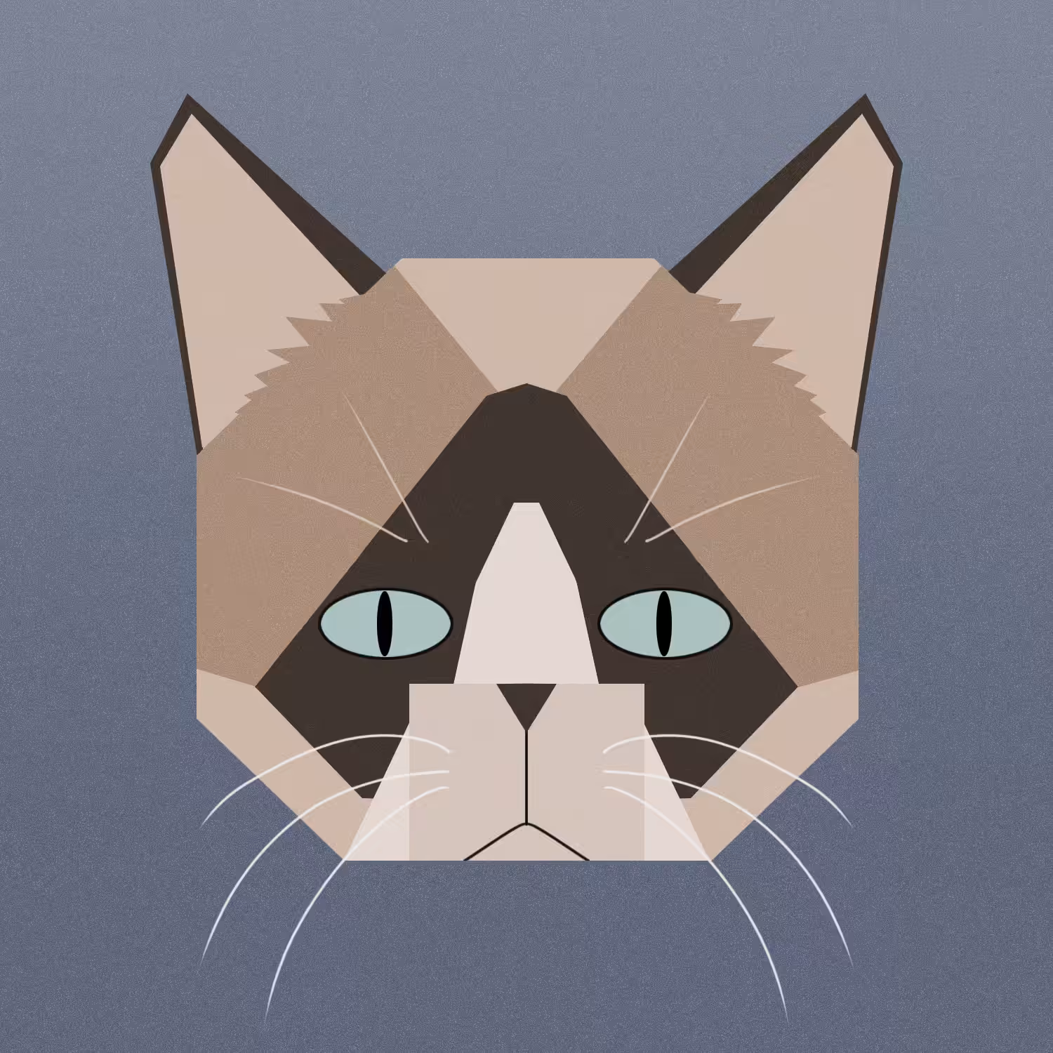 kitty #6 - snowshoe