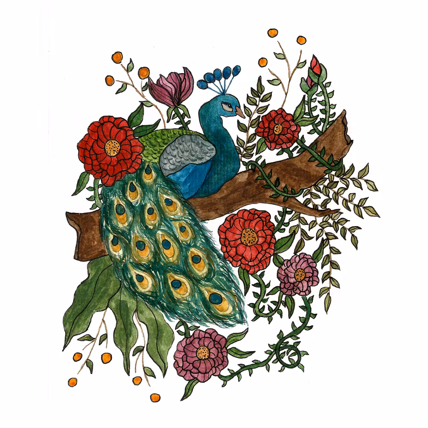 Peacock In Between Bloom