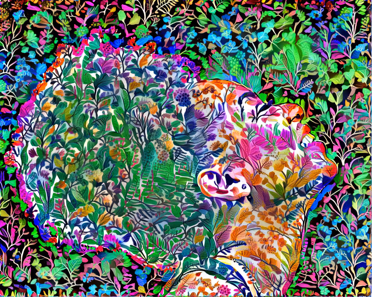 electric spring