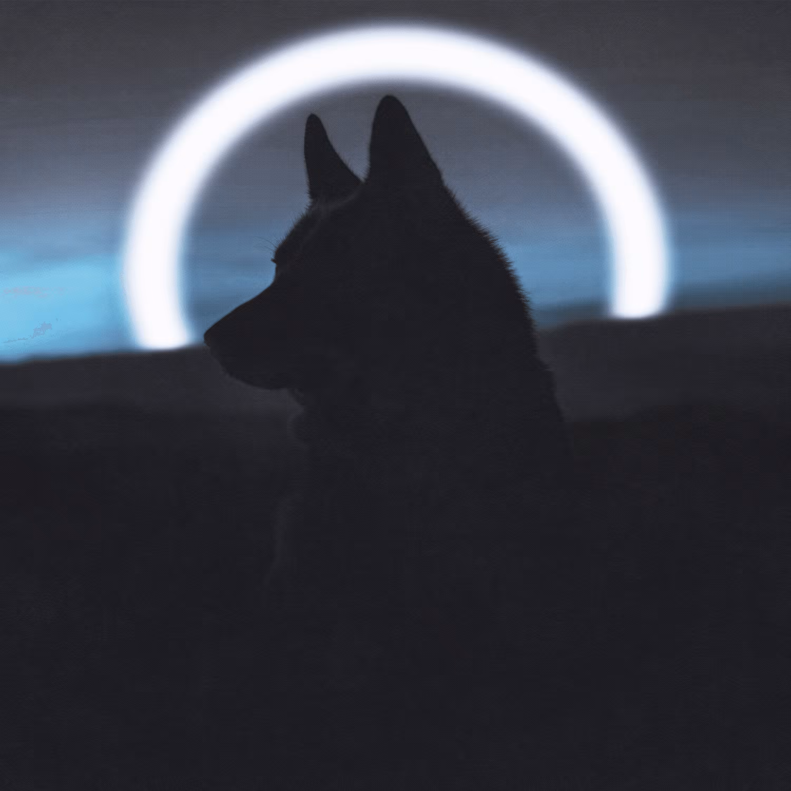 Lone