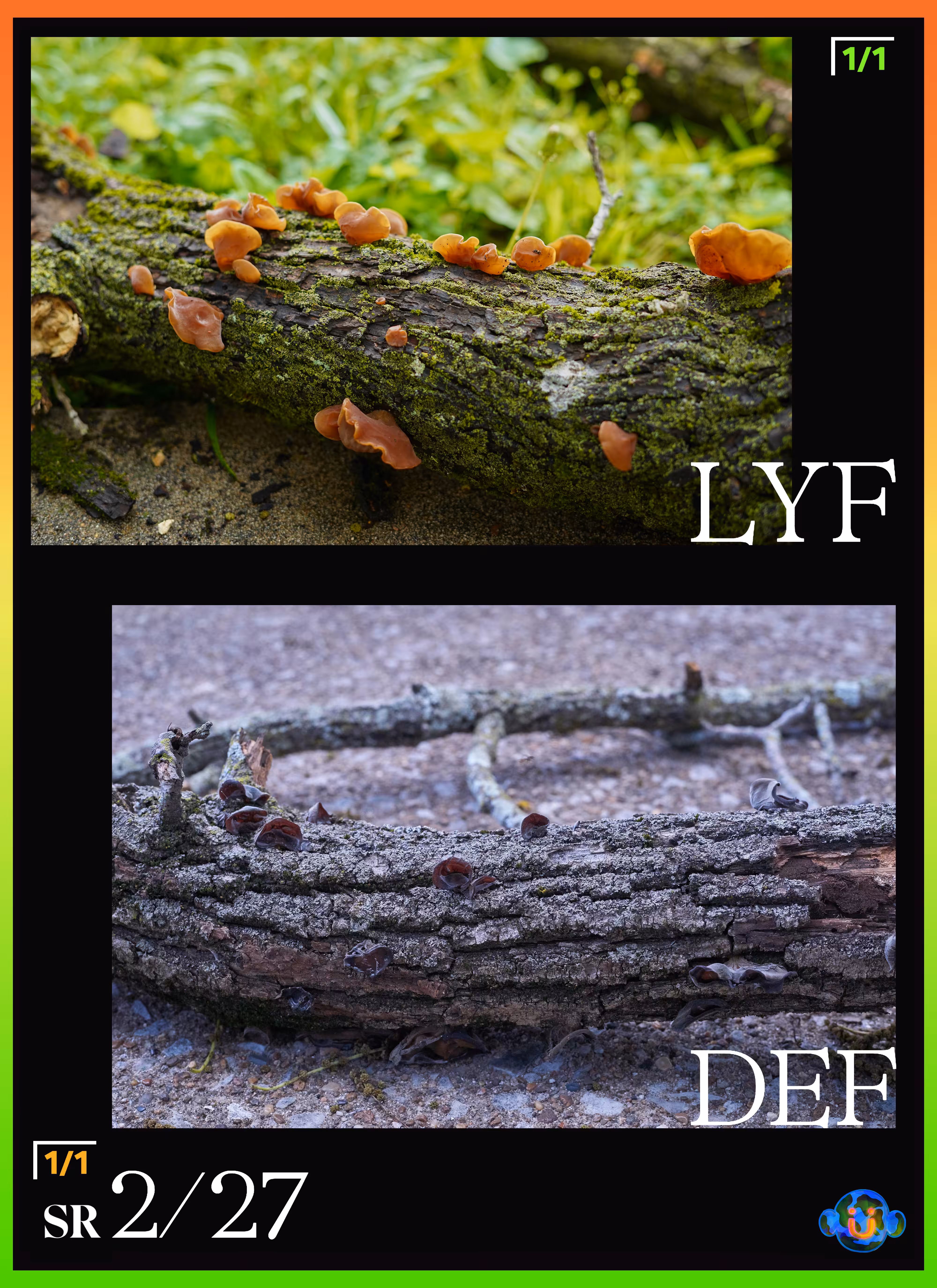 Lyf/Def 