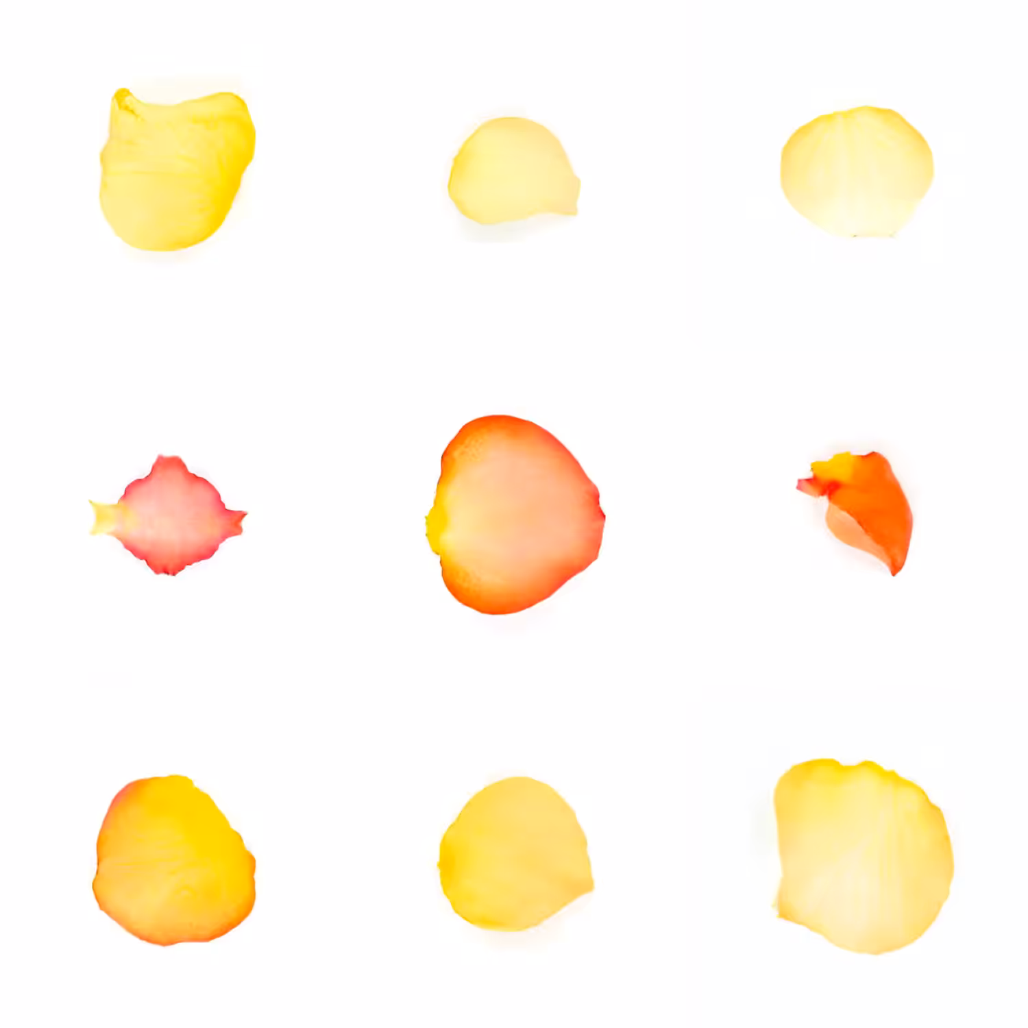 Infinite Petals 3x3#3715