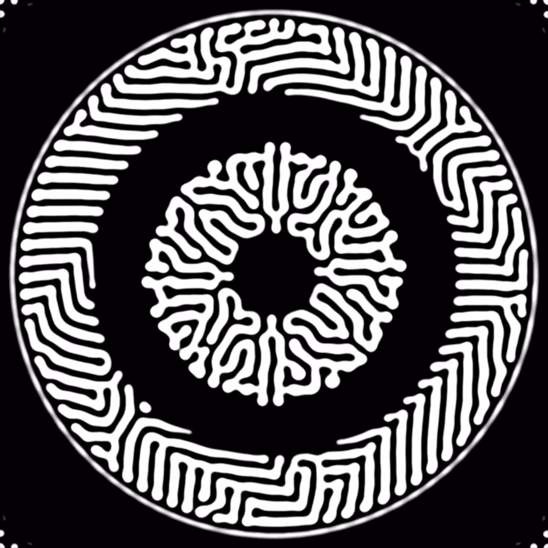 CROP CIRCLE#2