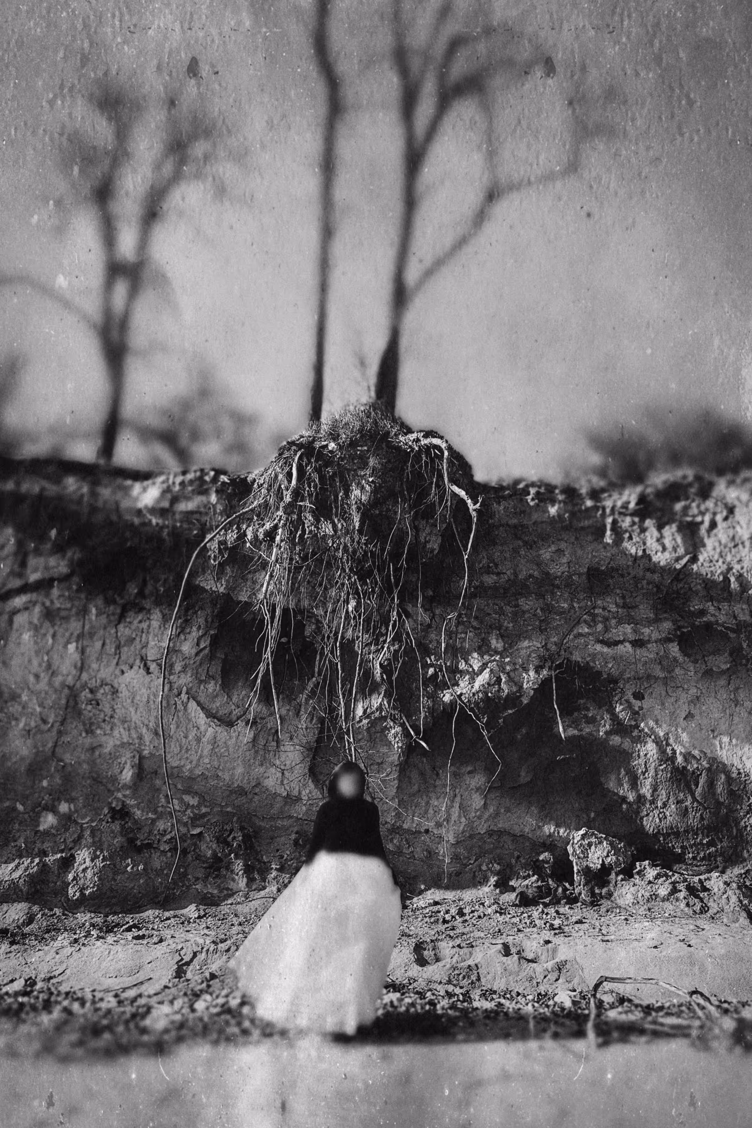 roots