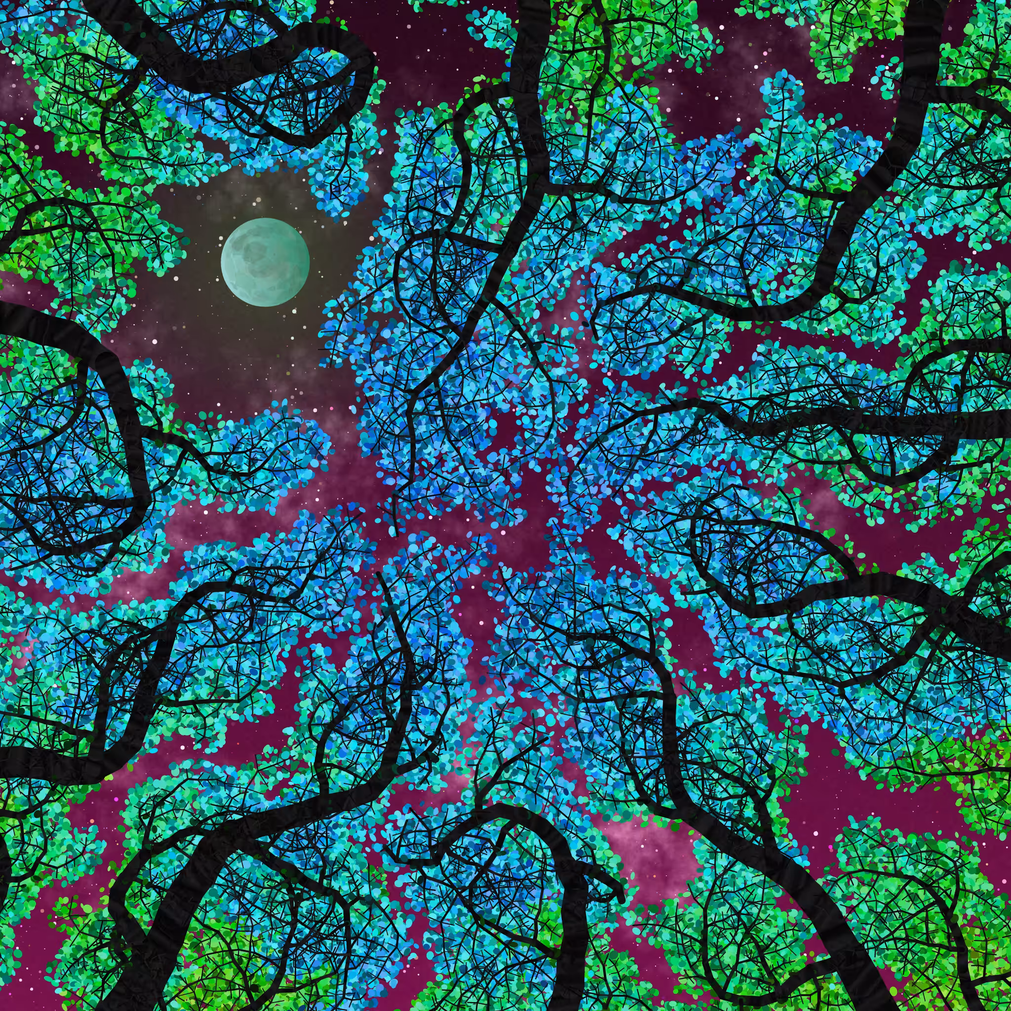 Tree Skyness #214